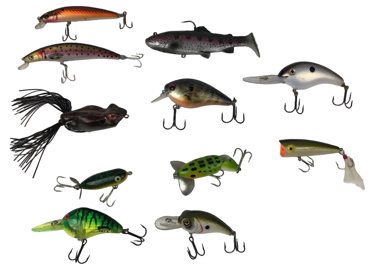 Heddon Tiny Torpedo Bullfrog 1 7/8-inch topwater lure with 10-piece fishing tackle bundle