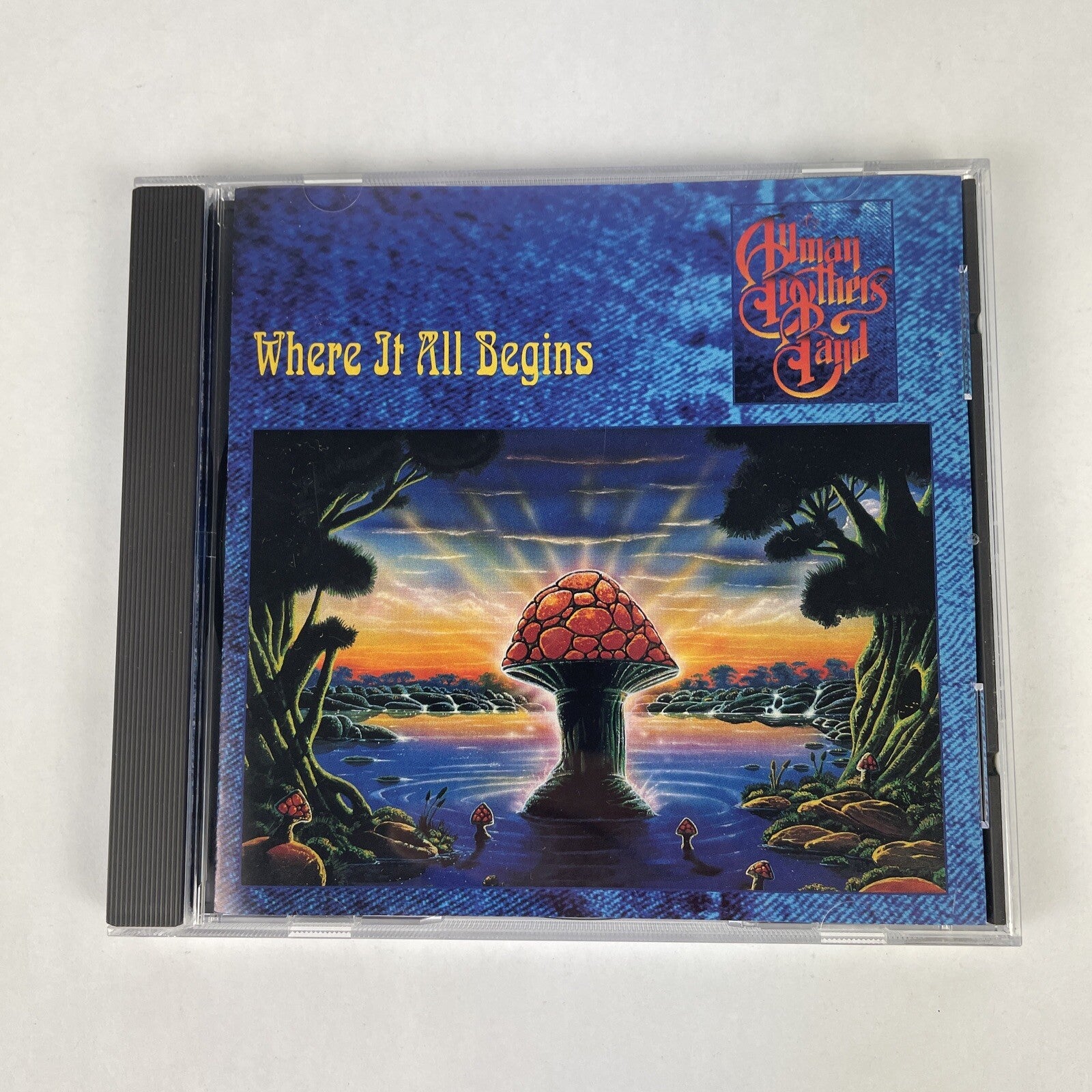 The Allman Brothers Band -Where It All Begins CD (1994) #28
