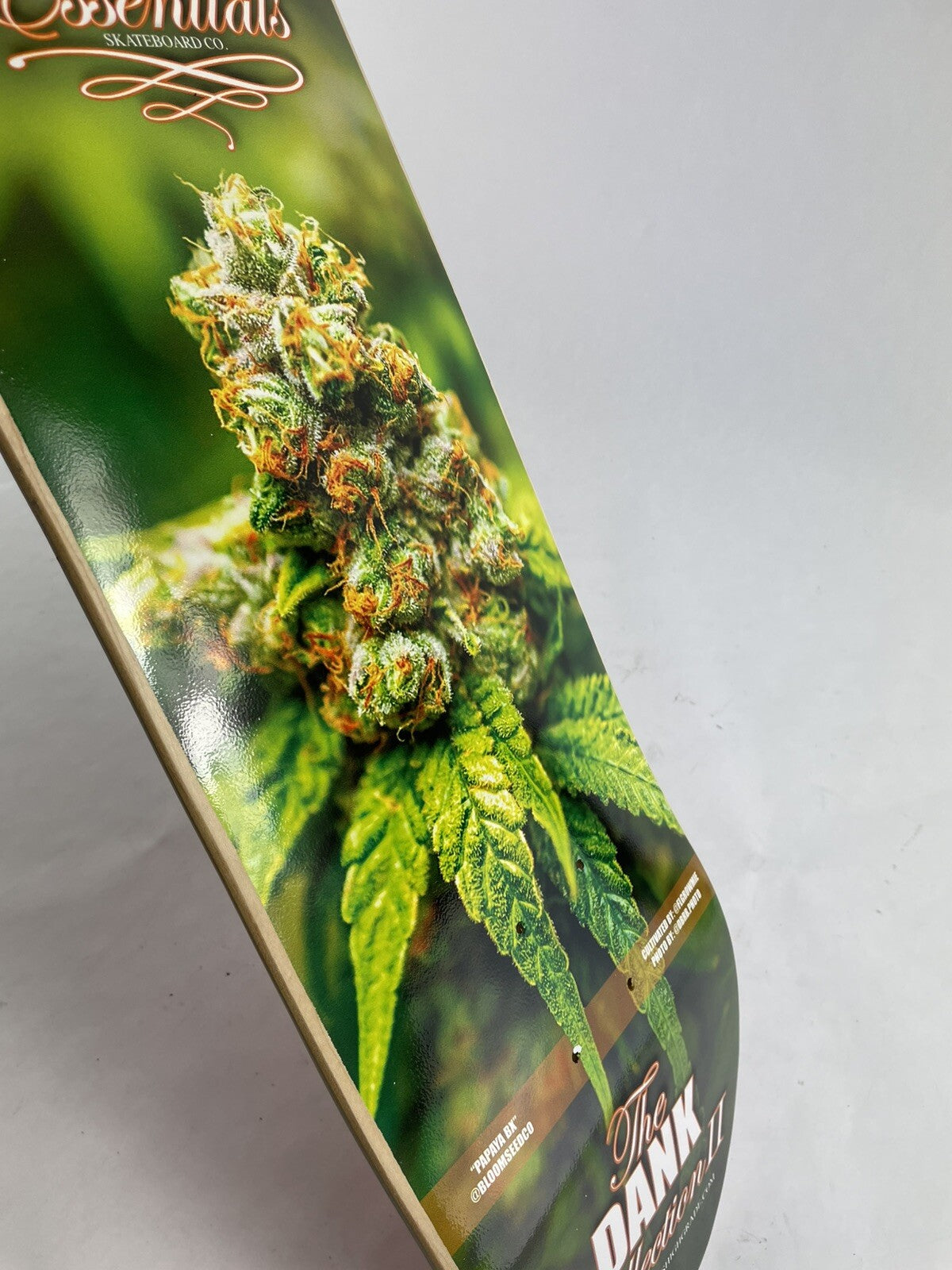Papaya BX Cannabis Week 8.125-inch hard rock maple skateboard deck with included grip tape.