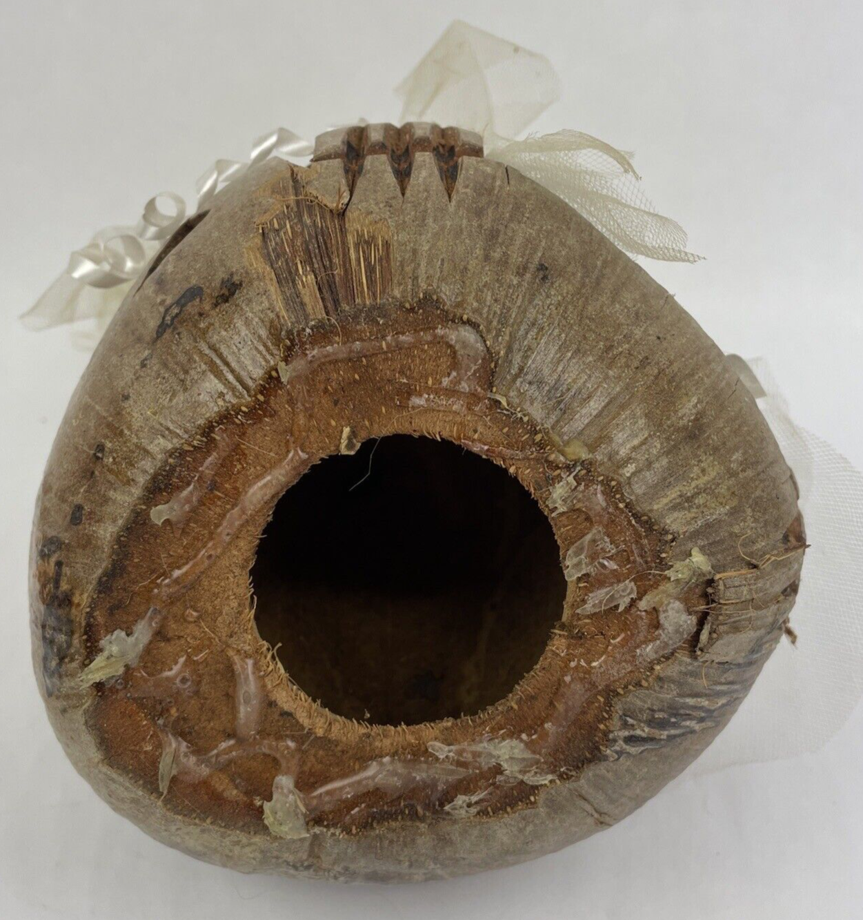 VNTG Tiki Bar Coconut Tribal Head Hand Painted Carved Shell Wedding Bride RARE