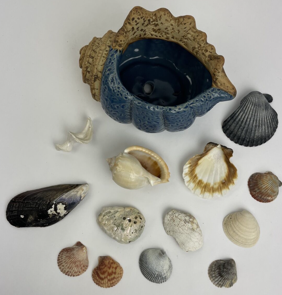 Sea Shell Blue Ceramic Planting Pot Succulent Planter Garden w Sea Shells Cali