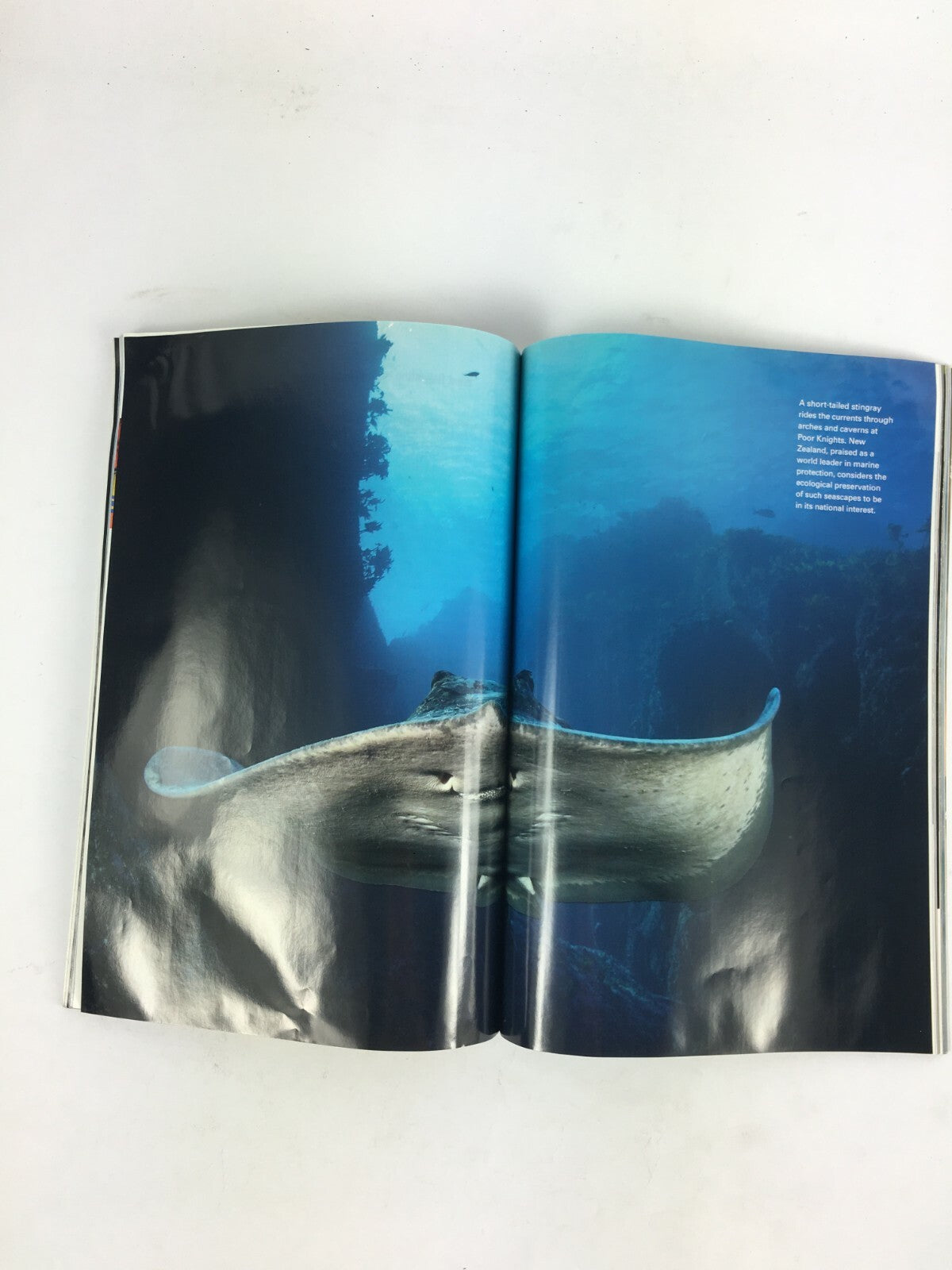 April 2007 National Geographic Magazine Saving the Sea's Bounty Majestic Blefin