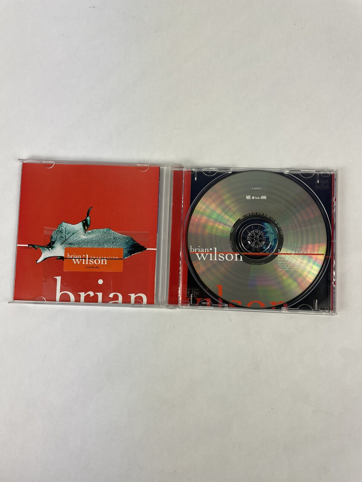 Brian Wilson - Imagination CD #3