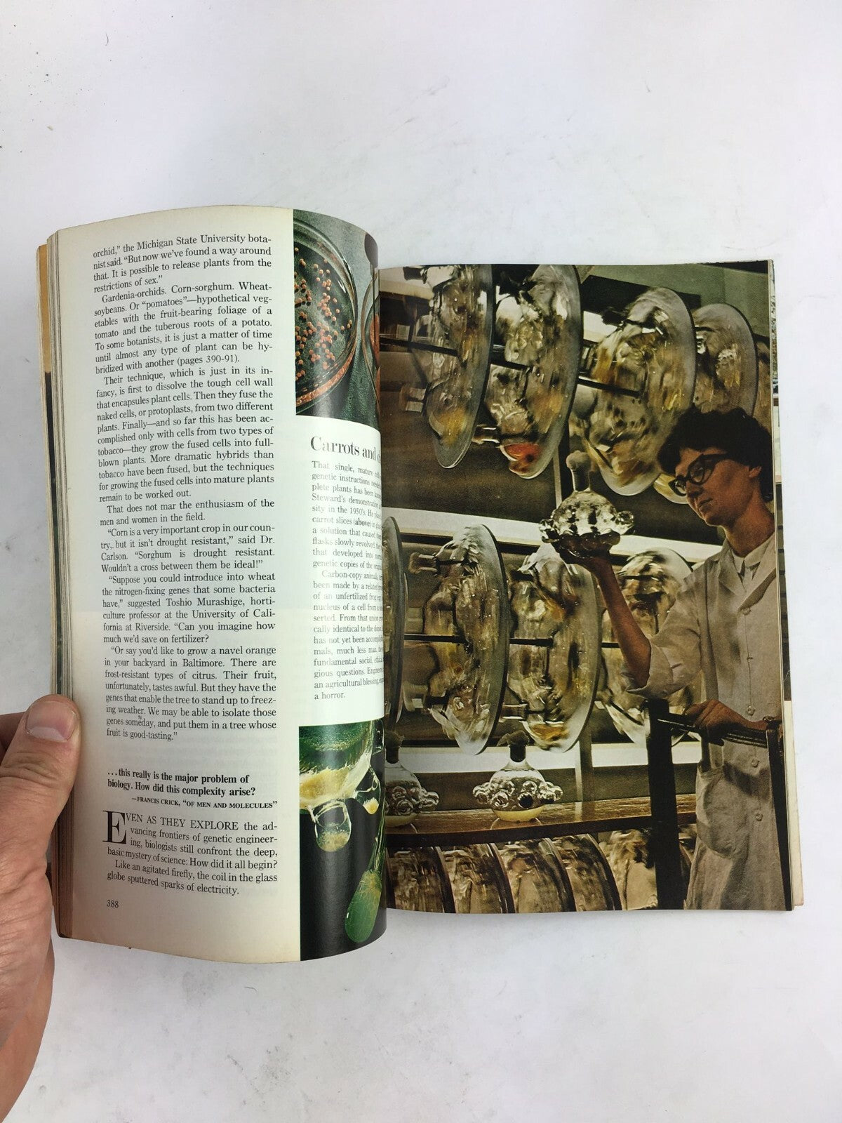 September 1976 National Geographic Magazine India Struggles To Save Her Wildlife