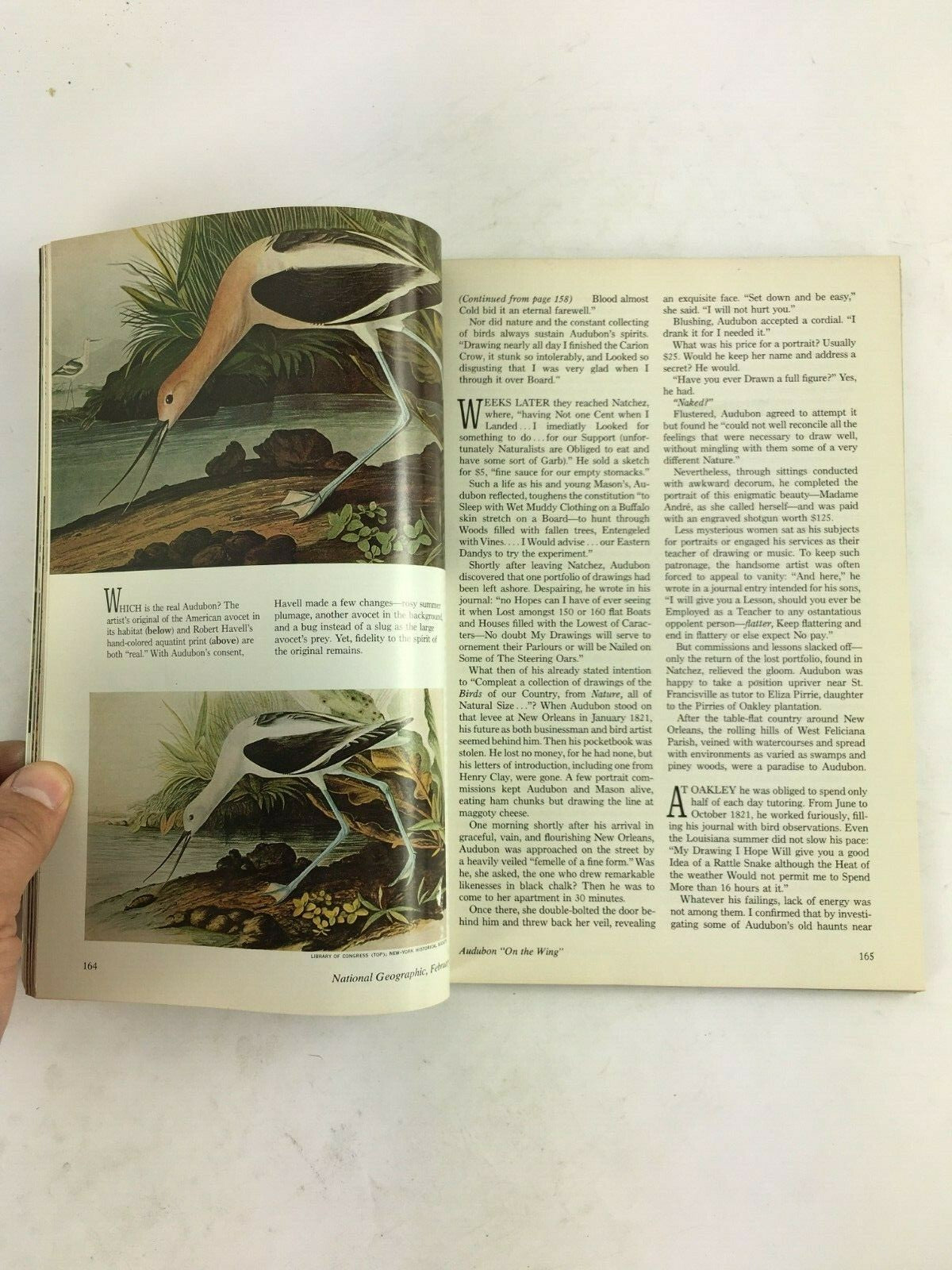 February 1977 National Geographic Magazine Longest Manned Balloon Flight Audubon