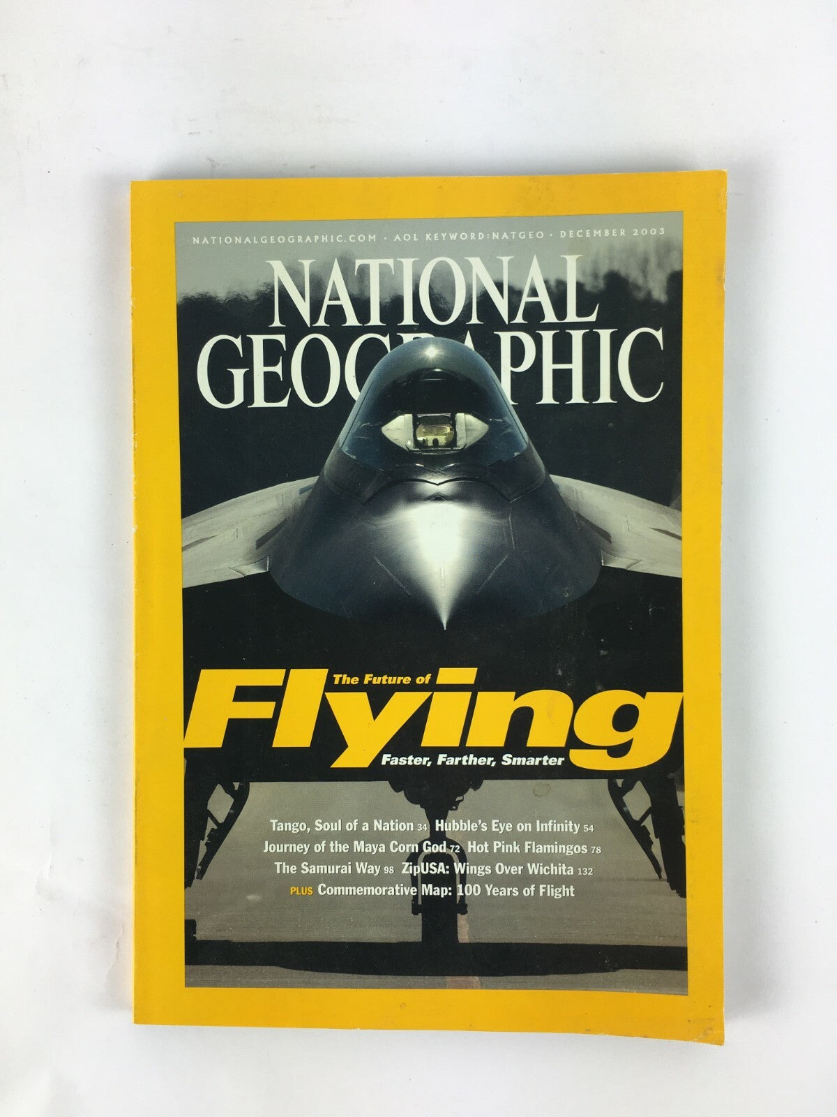 December 2003 NationalGeographic Magazine The Future of Flying Hot PinkFlamingos
