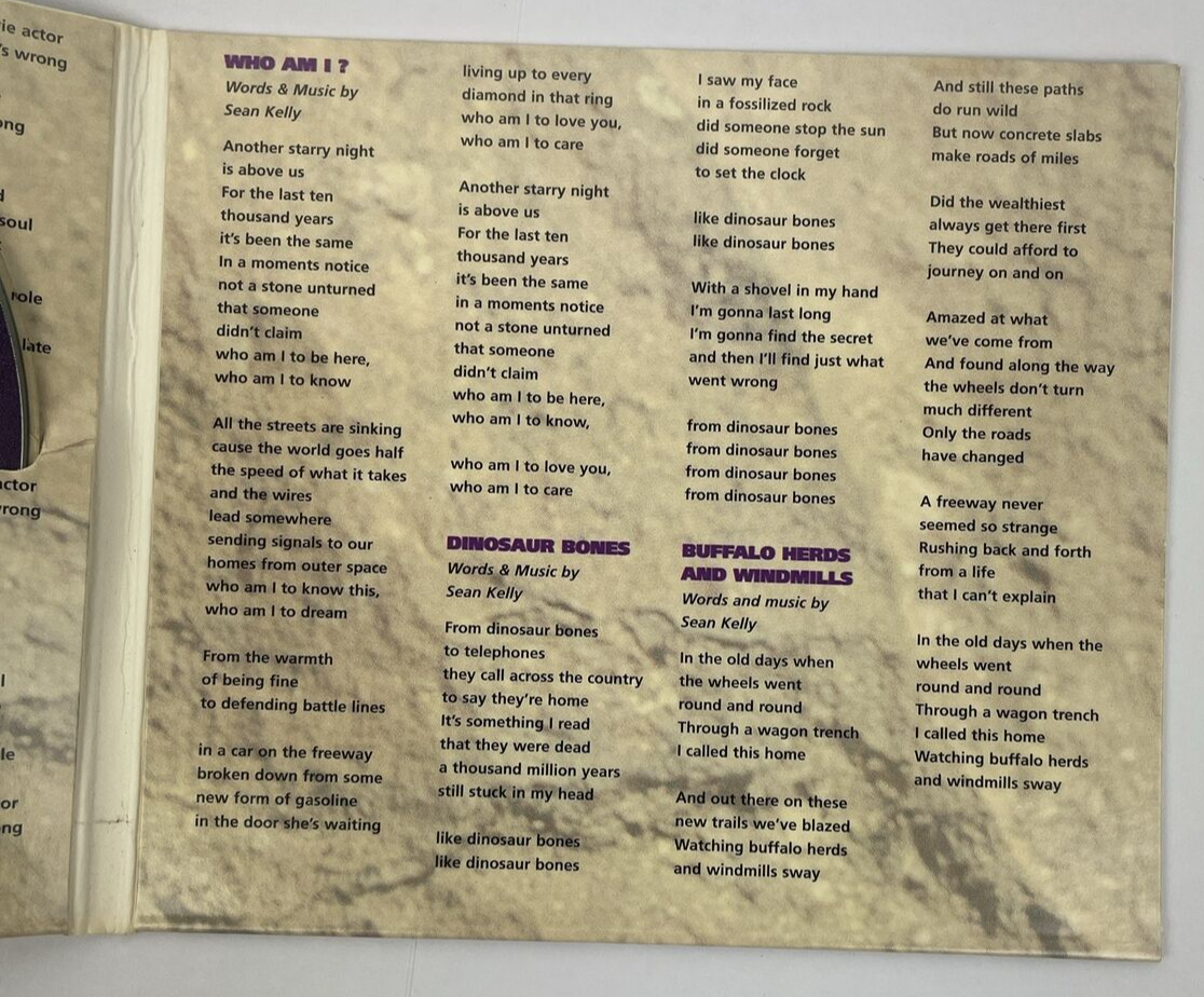 " THE SAMPLES " Digital Audio CD - Autopilot - What are Records? 1994 S