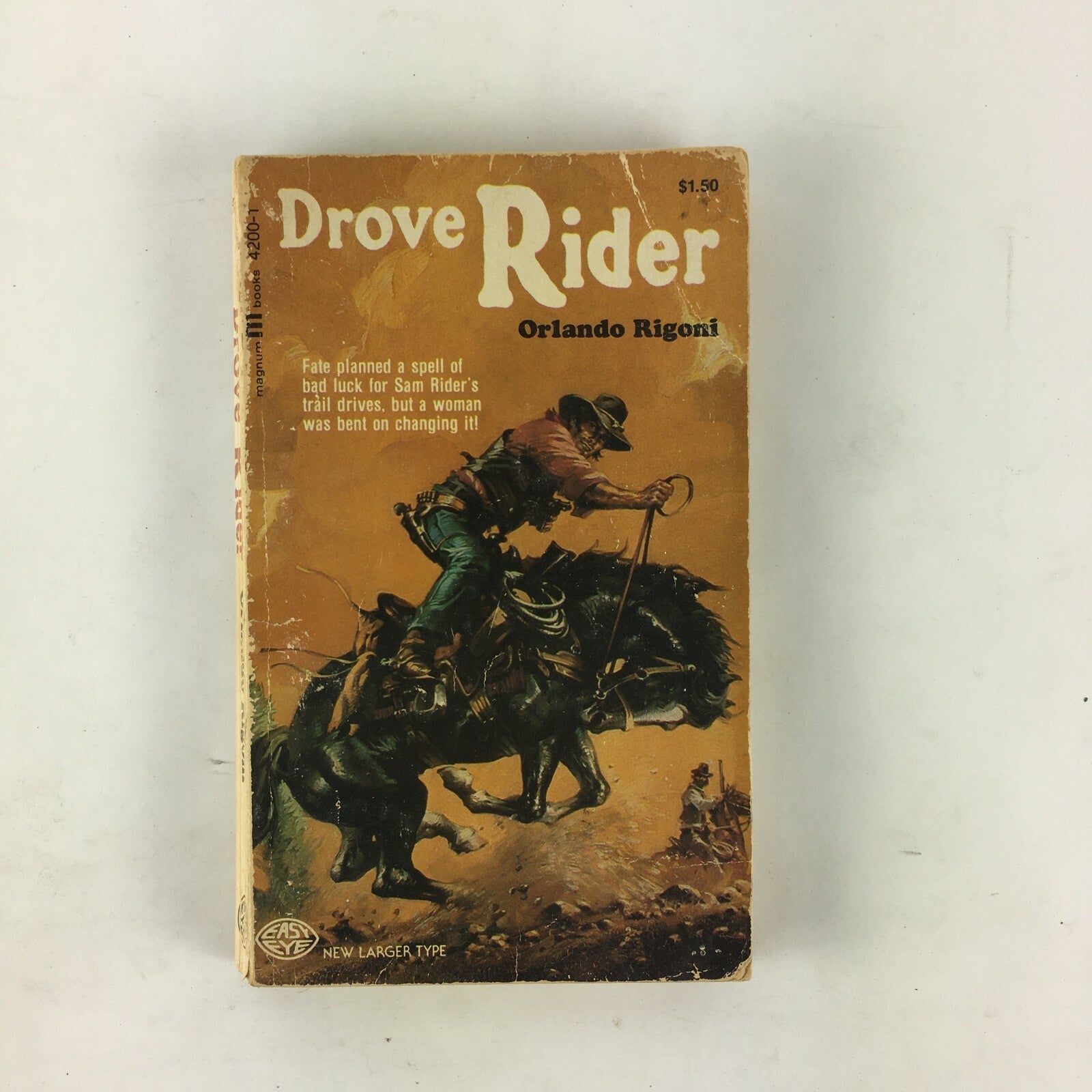 Drove Rider Orlando Rigoni