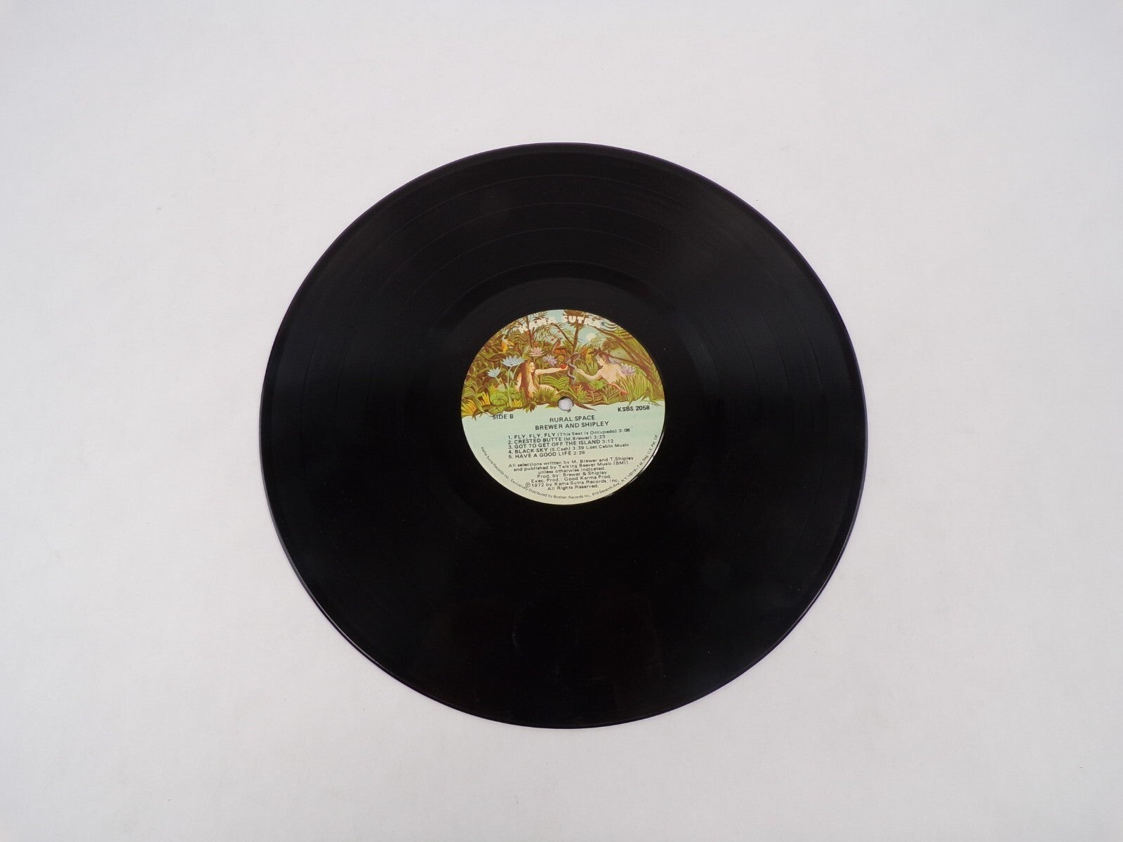 Rural Brewer & Shipley Space Yankee Lady Fly Fly Fly Black Sky Vinyl Record