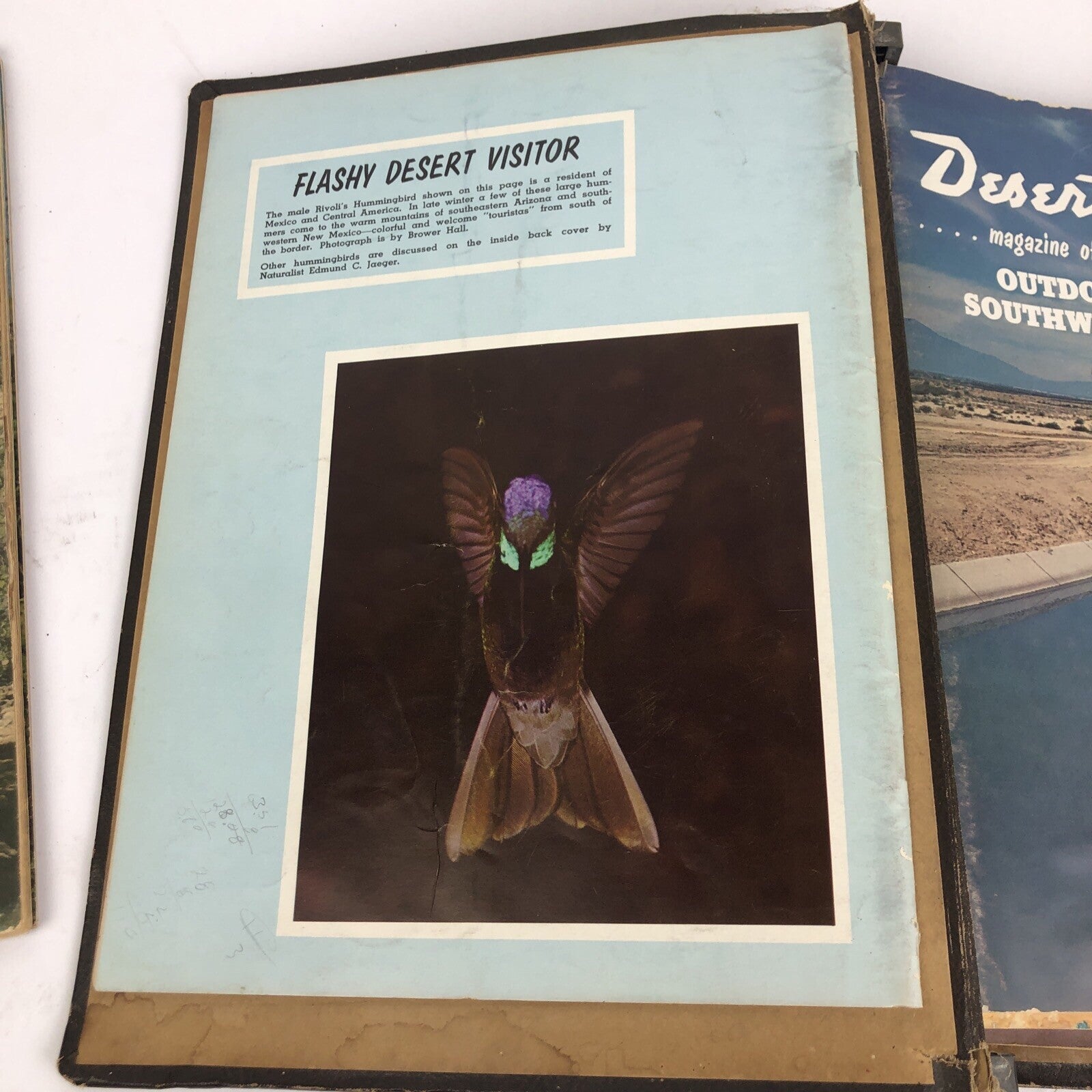 8 x Vintage DESERT MAGAZINE of the Outdoor Southwest 1960 January - August LOOK