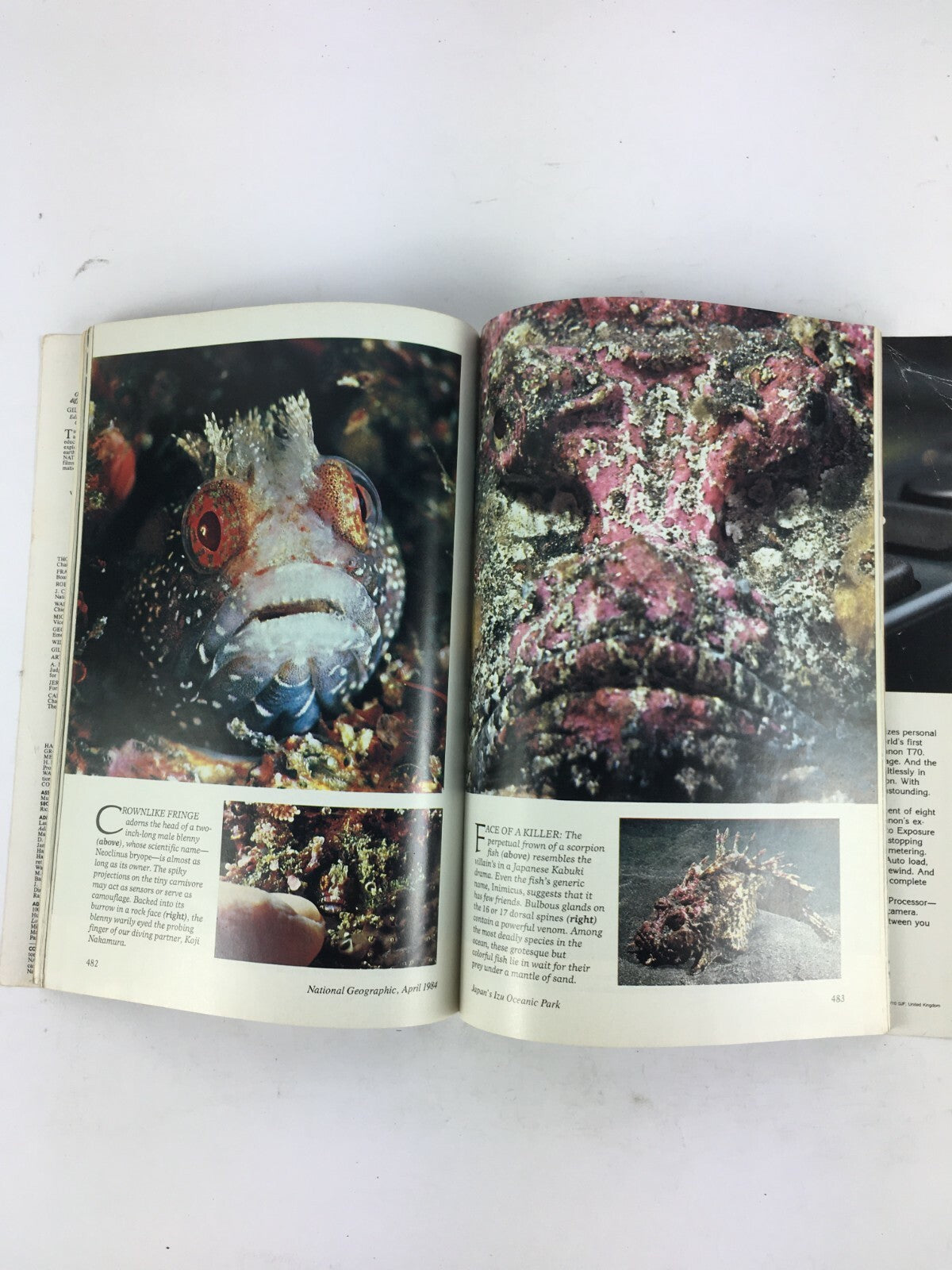 April 1984 National Geographic Magazine East of Eden California Mid Coast