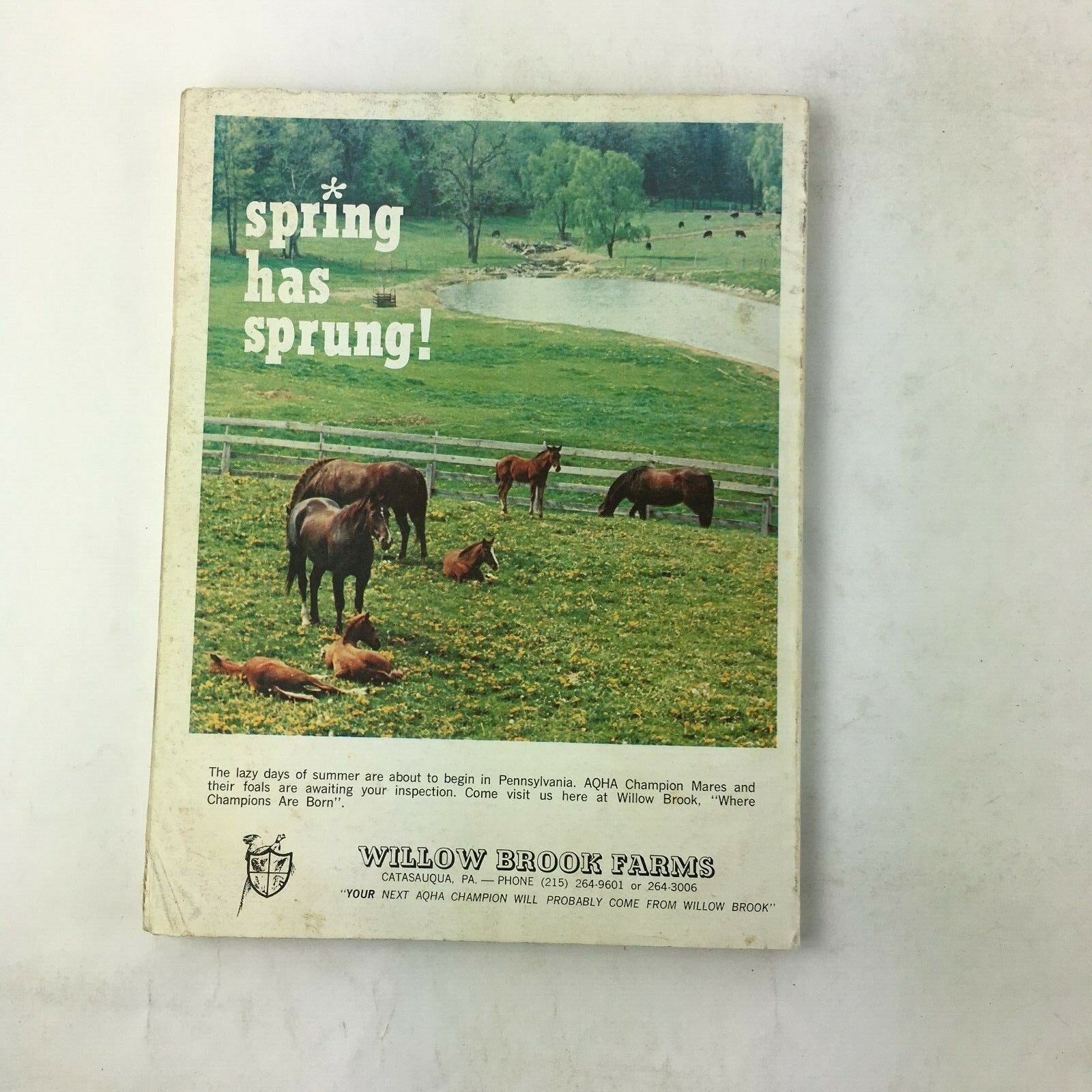 June 1973 The Quarter Horse Journal Magazine Annual Awards Dinner Steel Target
