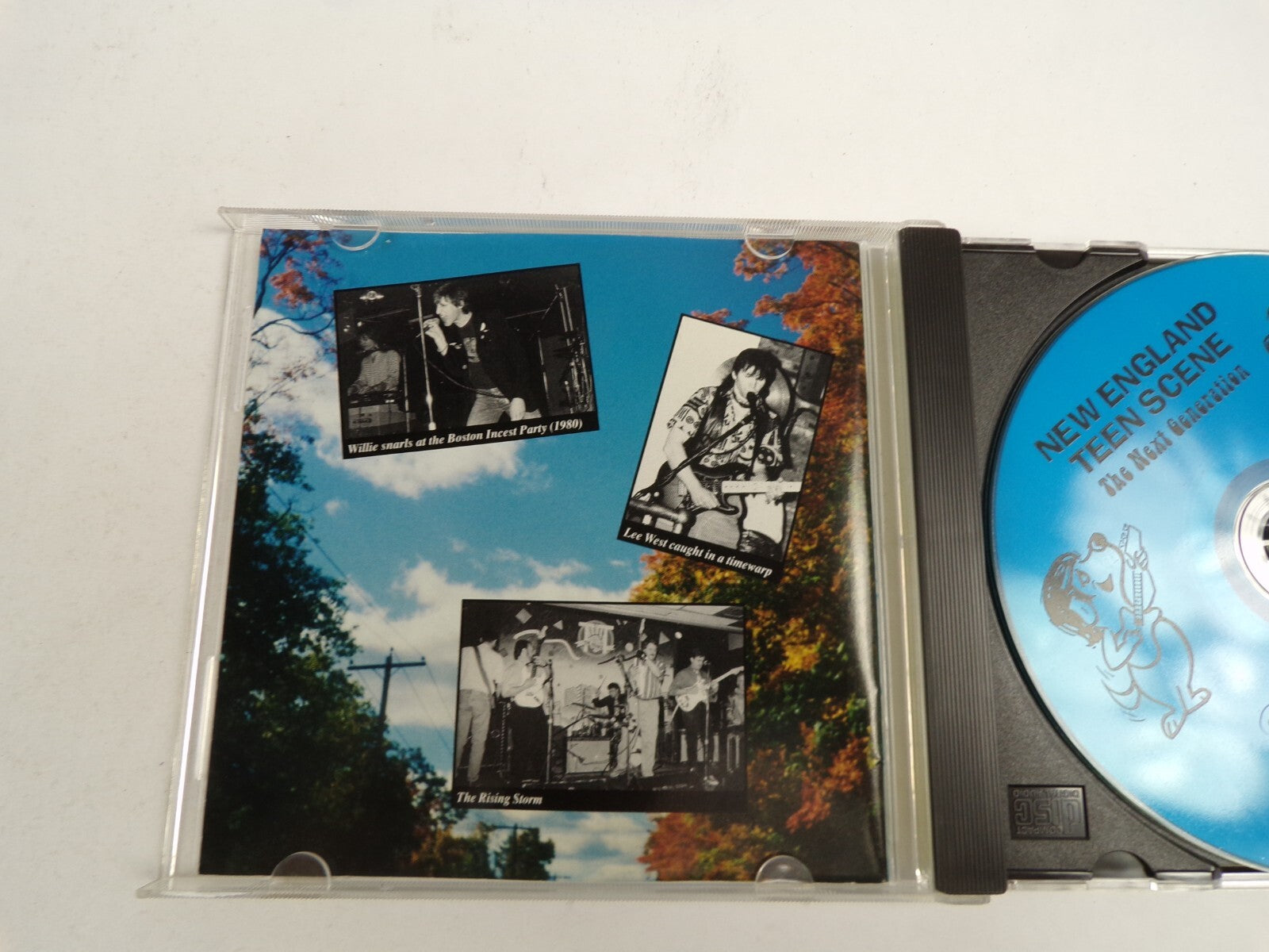 New England Teen Scene The Next Generation The Best Of Arf Arf GarageRock CD#48