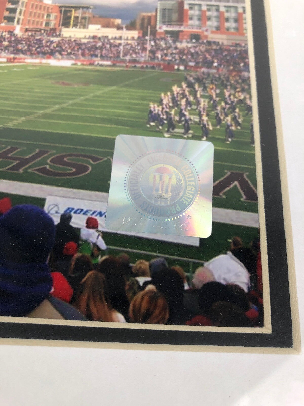 WC Washington Cougars Officially Licensed Framed Matted Stadium Photo Picture