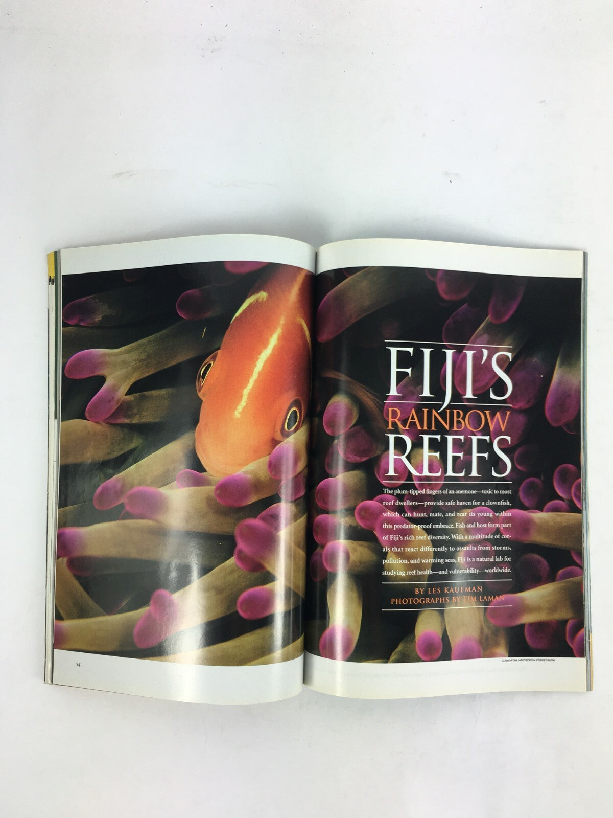 November 2004 National Geographic Magazine Was Darwin Wrong? Fiji's Rainbow Reef