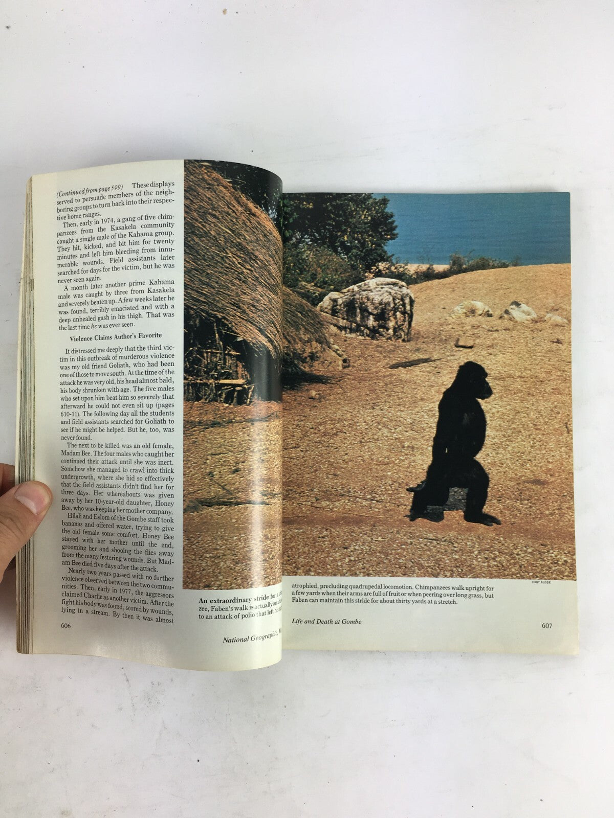 May 1979 National Geographic Magazine Americans Climb K2 Saskatchewan Hawaii's