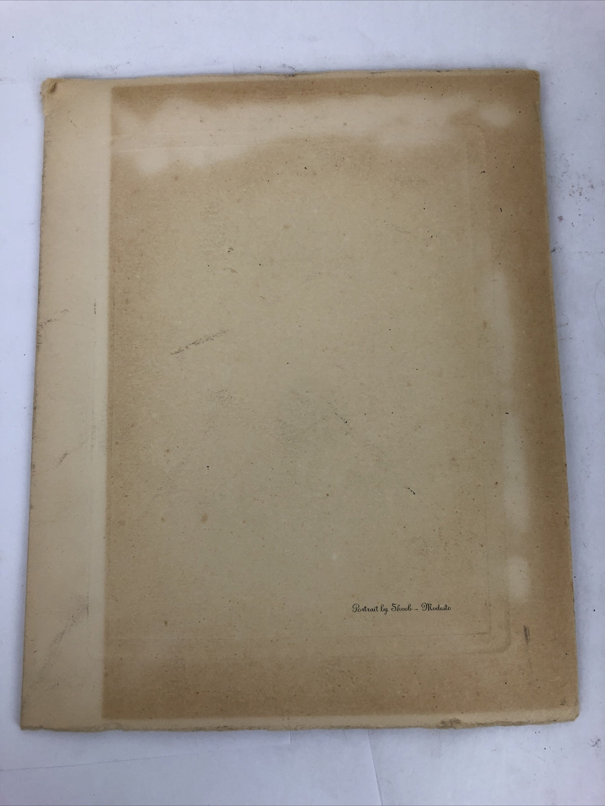 2 x Antique Photograph Beautiful Lady Girl Woman Portrait Large 8"x10" - Cali