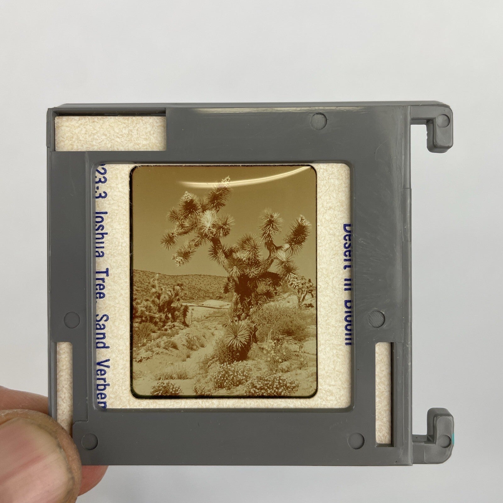 Lot of 6 x Bell & Howell Master Forty Slide Trays + 237 Vintage 1960 Slides LOOK