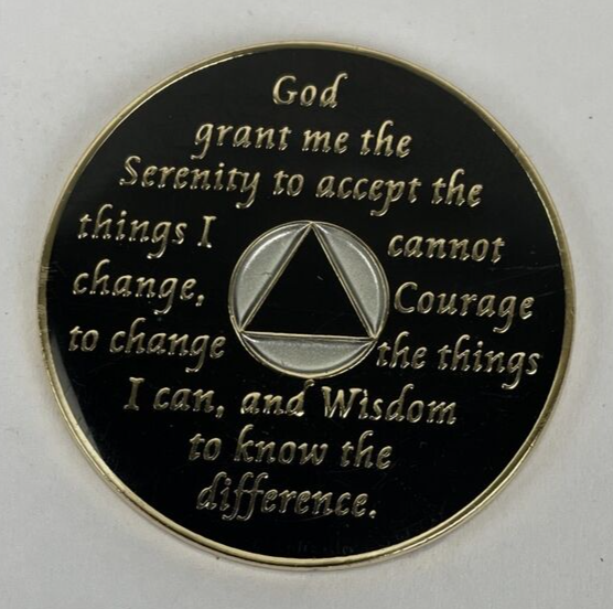 Alcoholics Anonymous 24 Hrs + 1 Year Bill W Dr Bob Recovery Coin Medallion AA