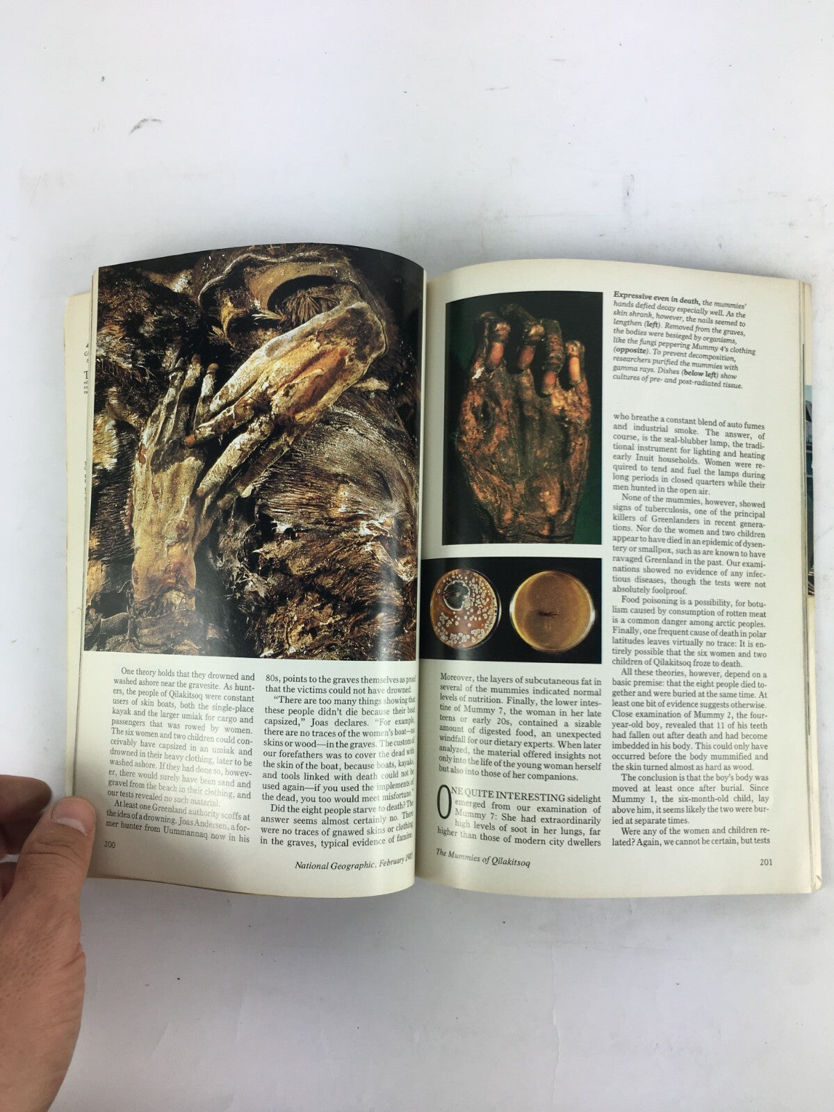 February 1985 National Geographic Magazine The Poppy for Good and Evil Mummies