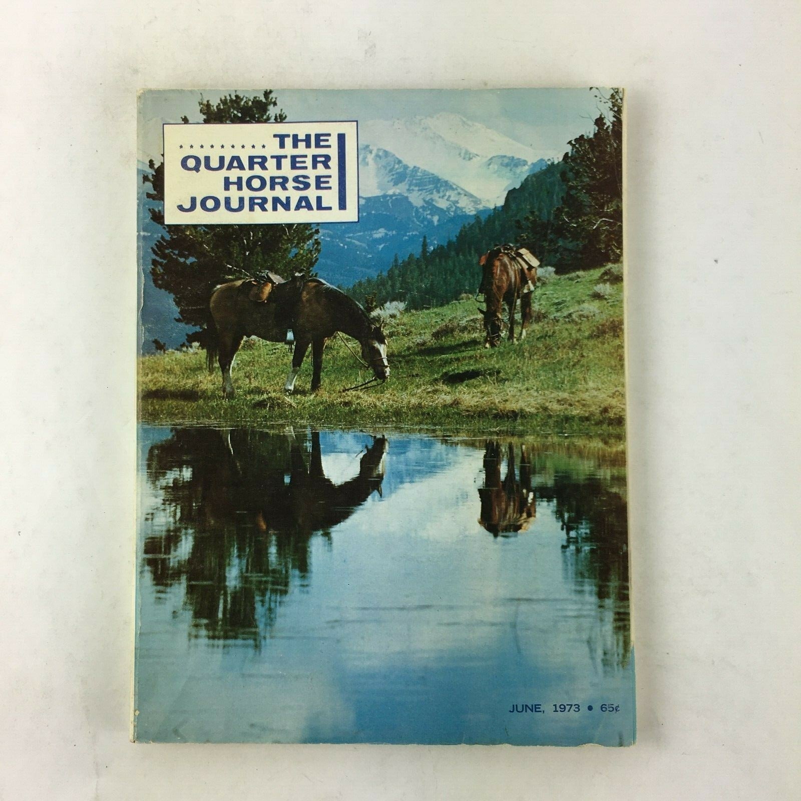 June 1973 The Quarter Horse Journal Magazine Annual Awards Dinner Steel Target