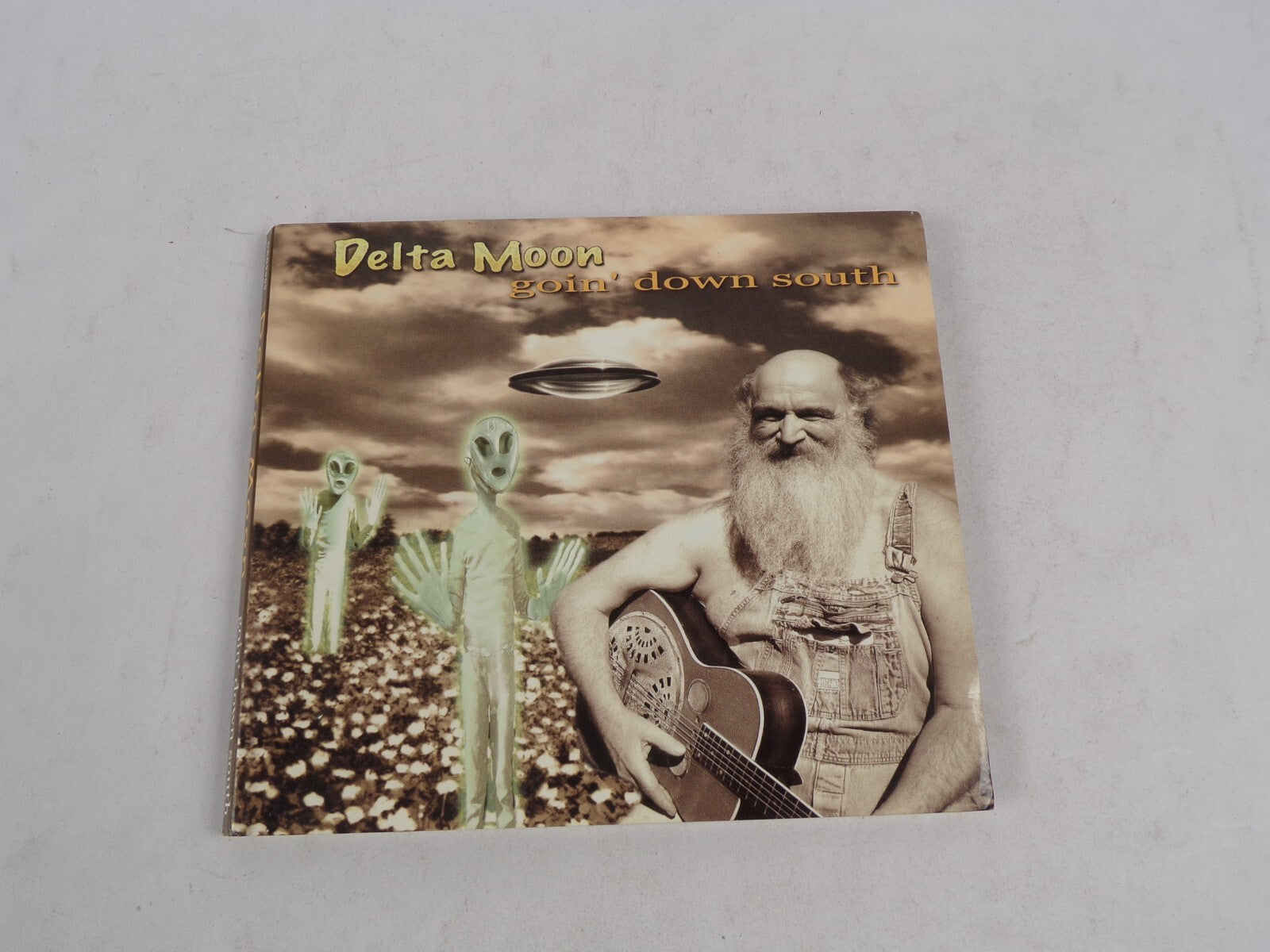 Delta Moon Goin' Down South That's It I Want To Go Dreams Come Real Stone CD#58