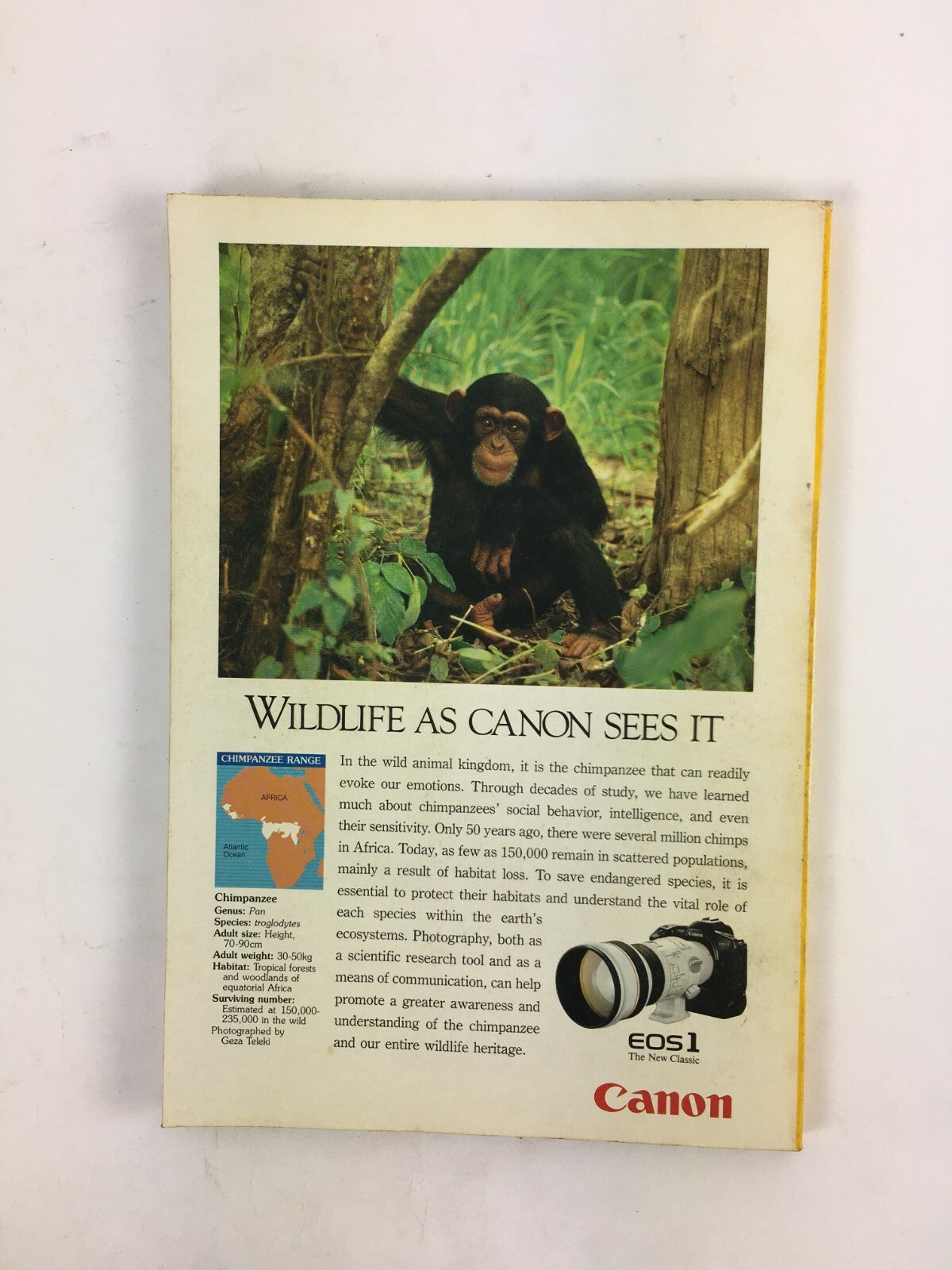 February 1990 National Geographic Magazine Between Monterey Tides Soviet Sea