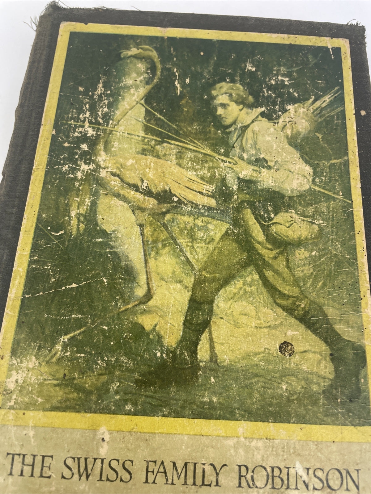 THE SWISS FAMILY ROBINSON BY David Wyss Illustrated by Louis Rhead - 1909 VTG