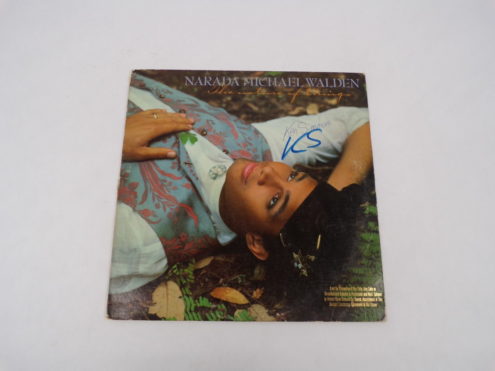 Narada Michael Walden The Nature Of Things Live It Up Vinyl Record