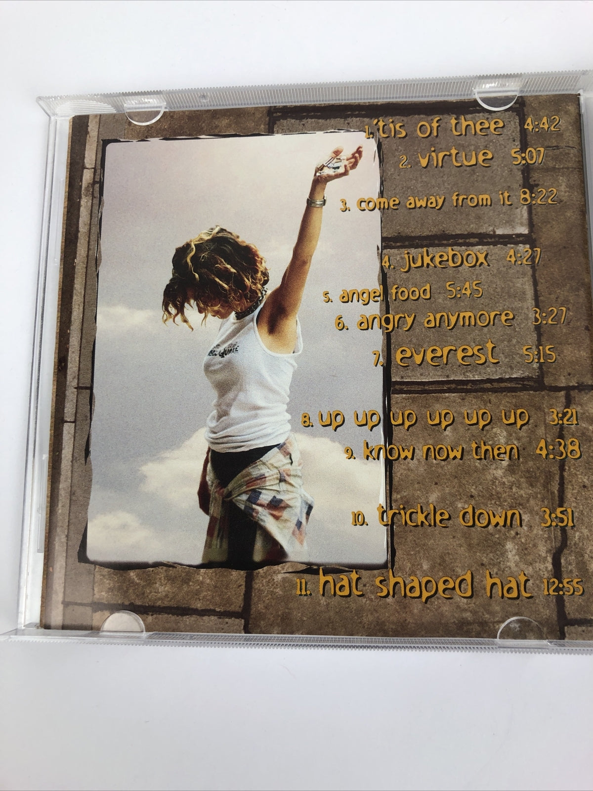 2 x Ani Difranco Digital Audio CD Lot " Up Up Up Up " " Not a Pretty Girl " #56