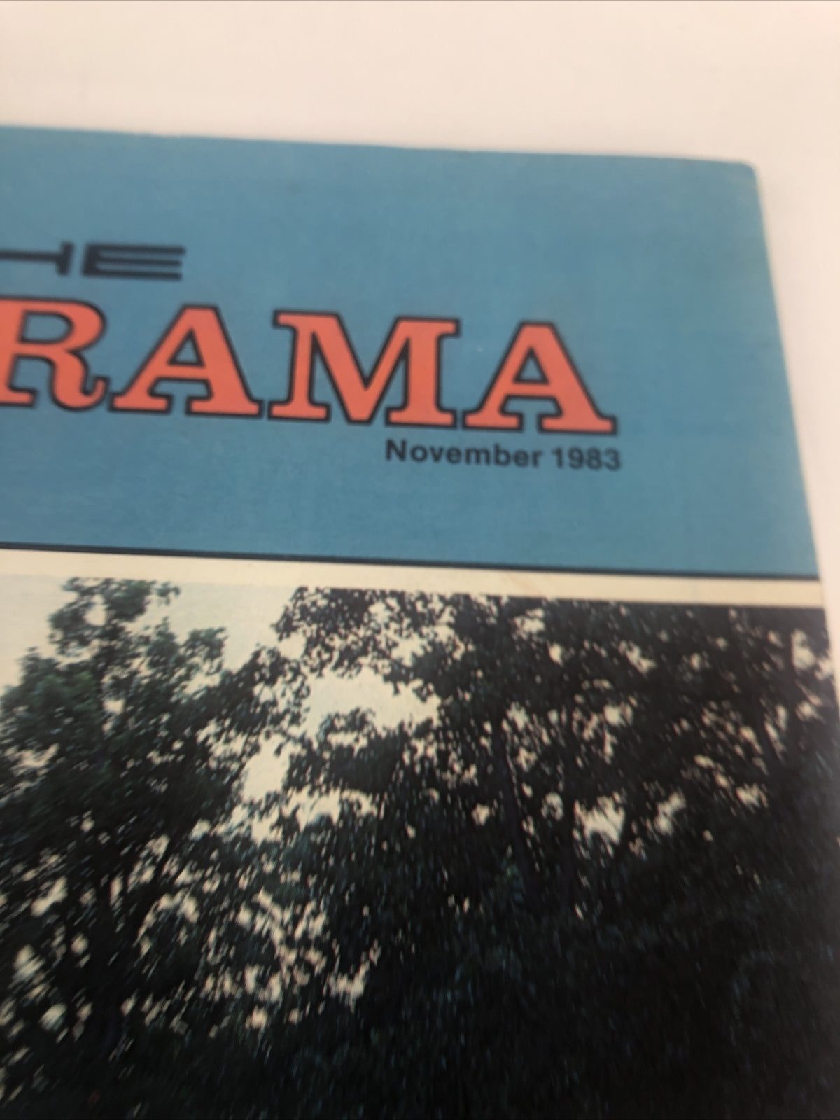 PORSCHE PANORAMA MAGAZINE CARRERA 911 928 944 924 356 TURBO 1983 NOVEMBER