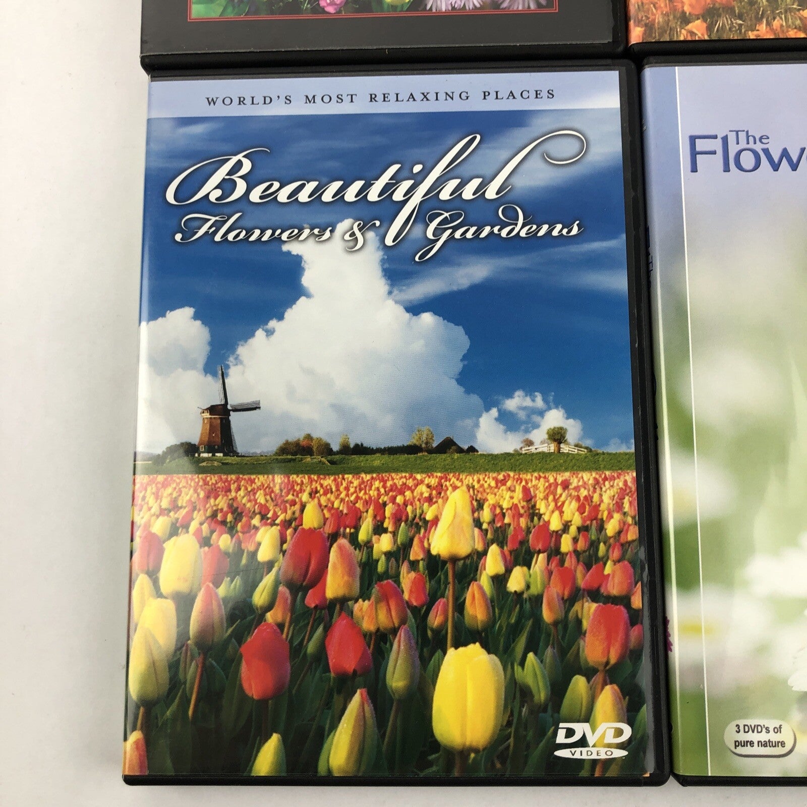 4 X Beautiful Flowers & Gardens Collection DVD Lot Sand Blossoms Wild Flowers