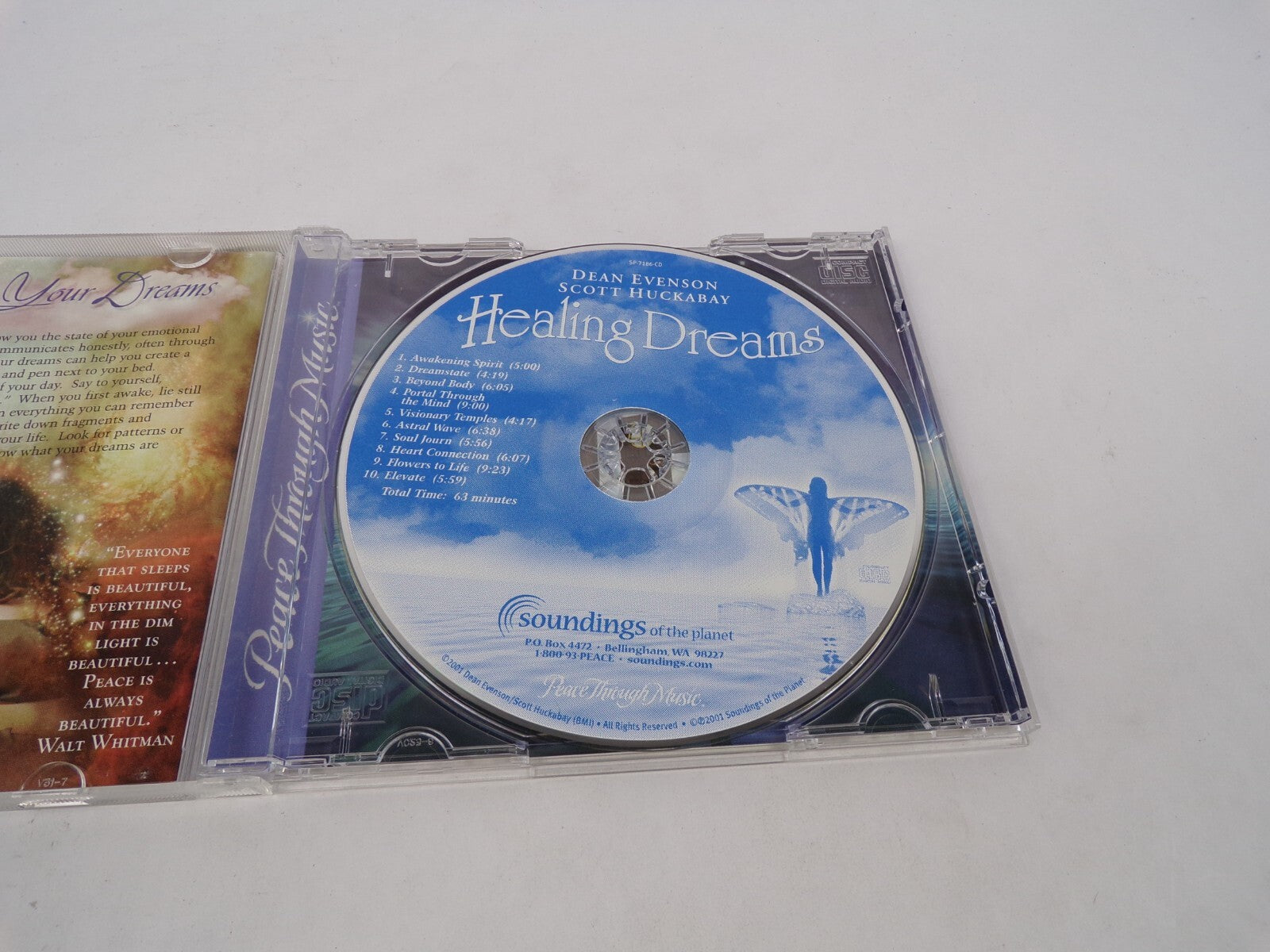 Healing Dreams Awakening Spirit Dreamstate Beyond Body Visionary TemplesCD#63