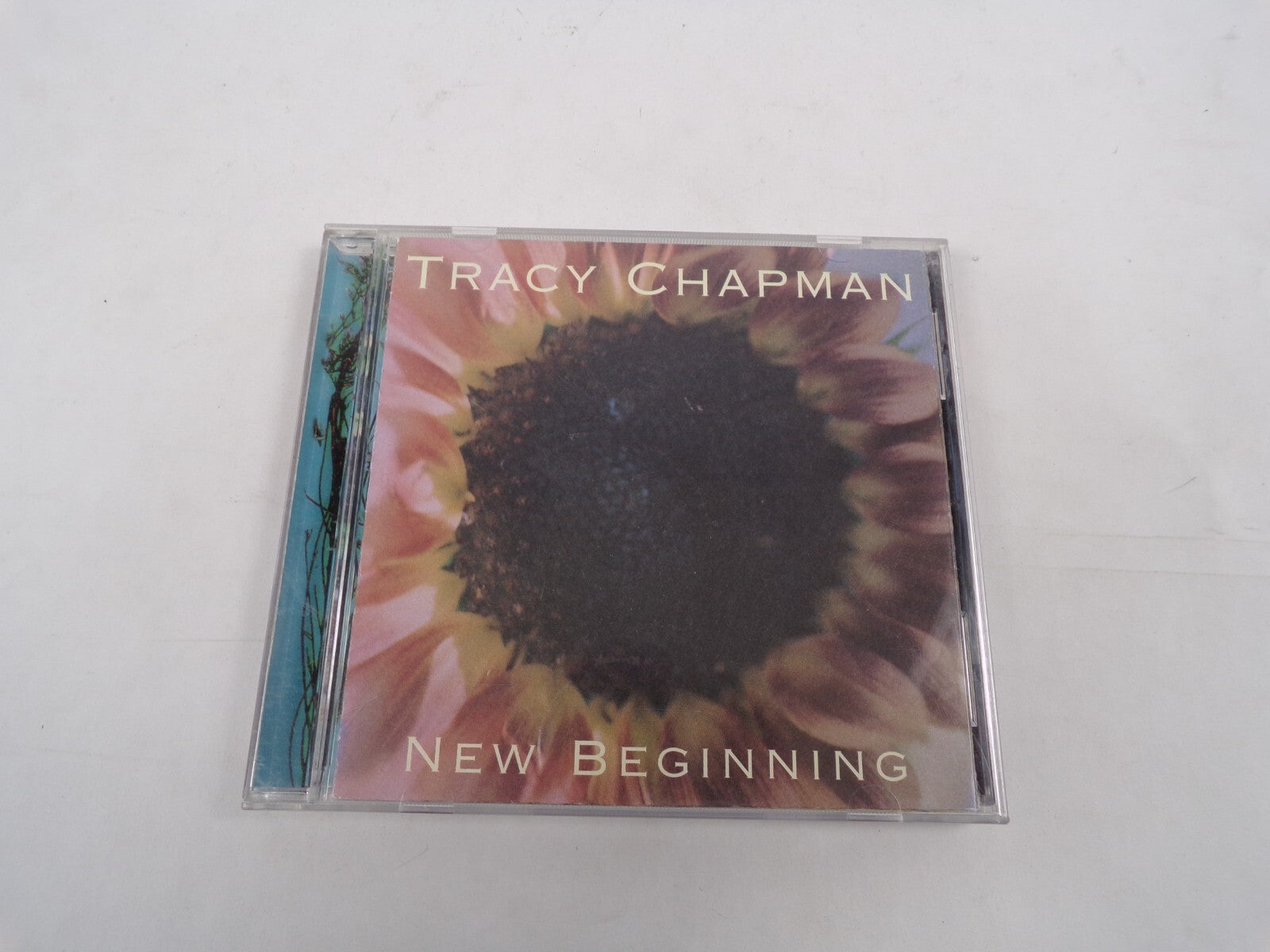 Tracy Chapman New Beginning Heaven's Here On Earth New Beginning Smoke And CD#30