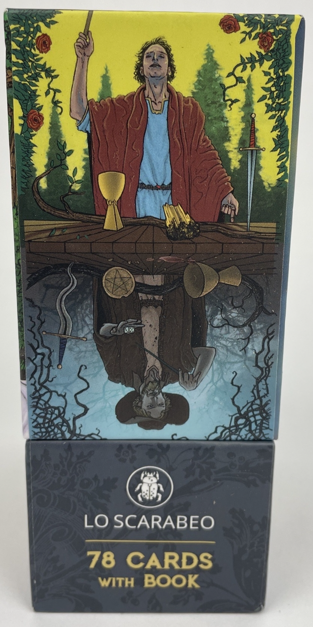 Tarot Of Oppositions Tarot Deck w Guidebook By Pierluca Zizzi Michele D'aloisio