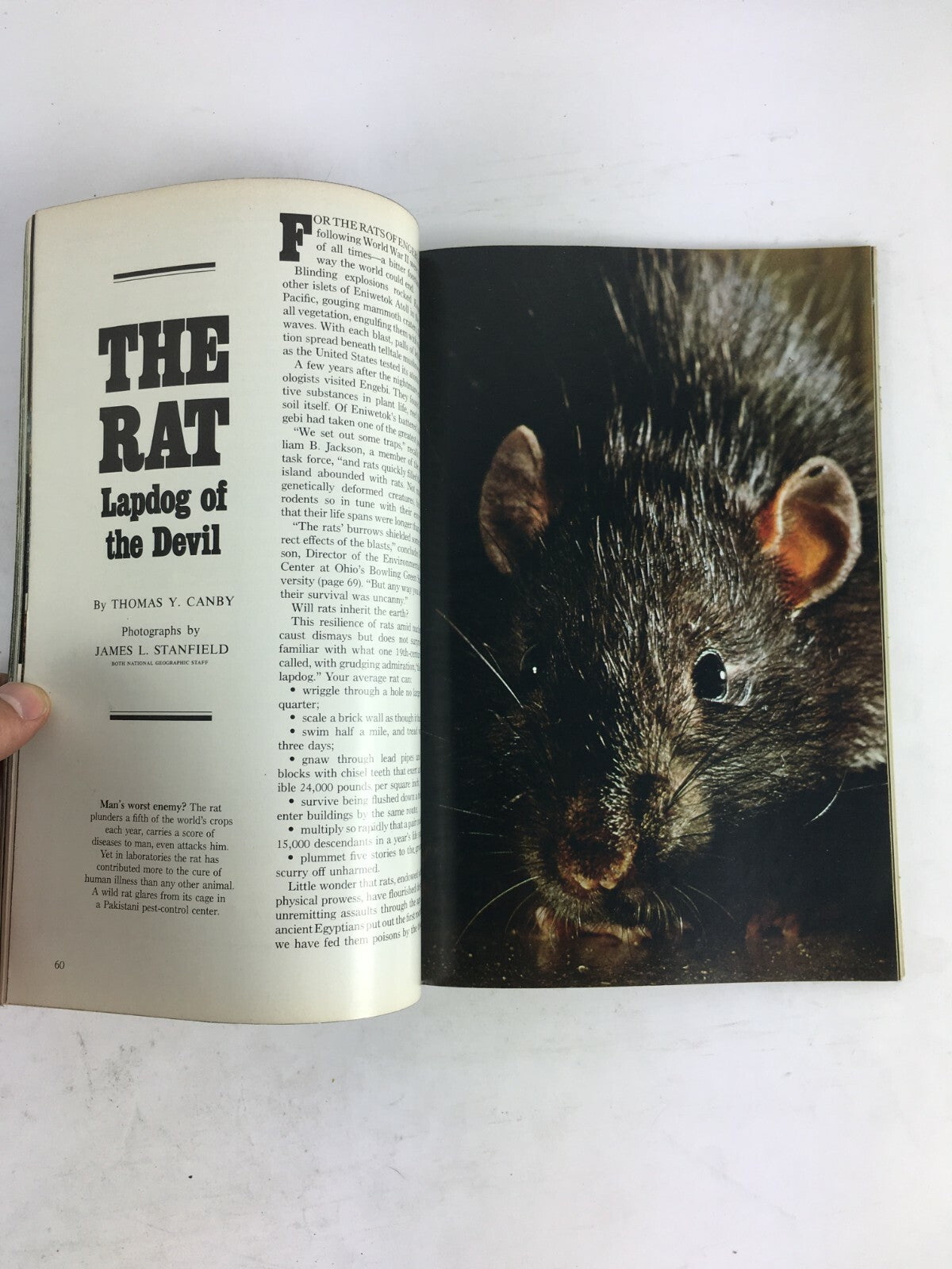 July 1977 NationalGeographic Magazine Preserving The Nation's Wild Rivers Skagit