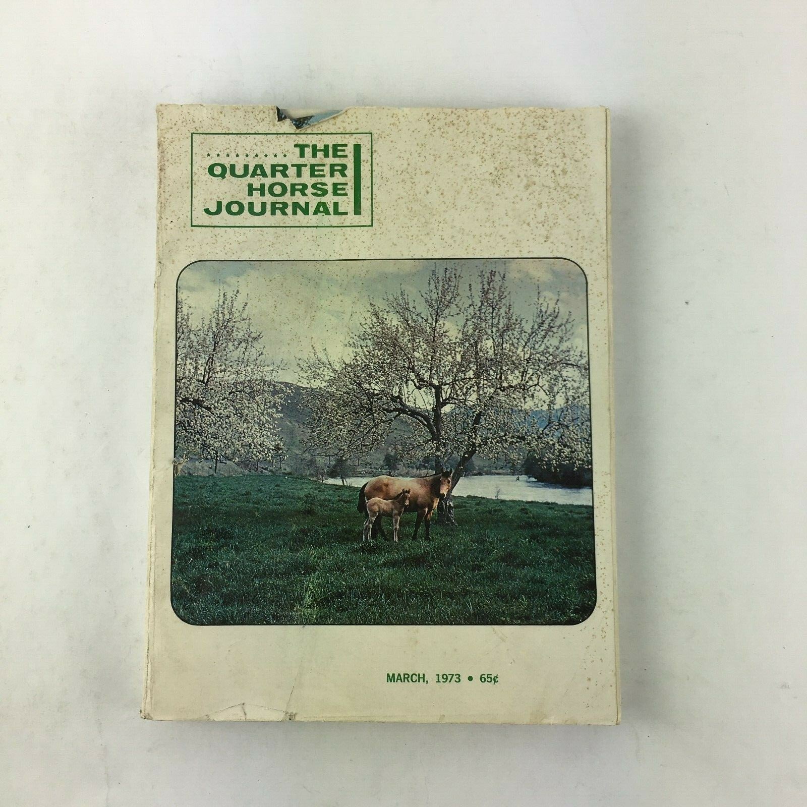 March 1973 The Quarter Horse Journal Magazine Dar Rich Horse Farms Leo Bingo