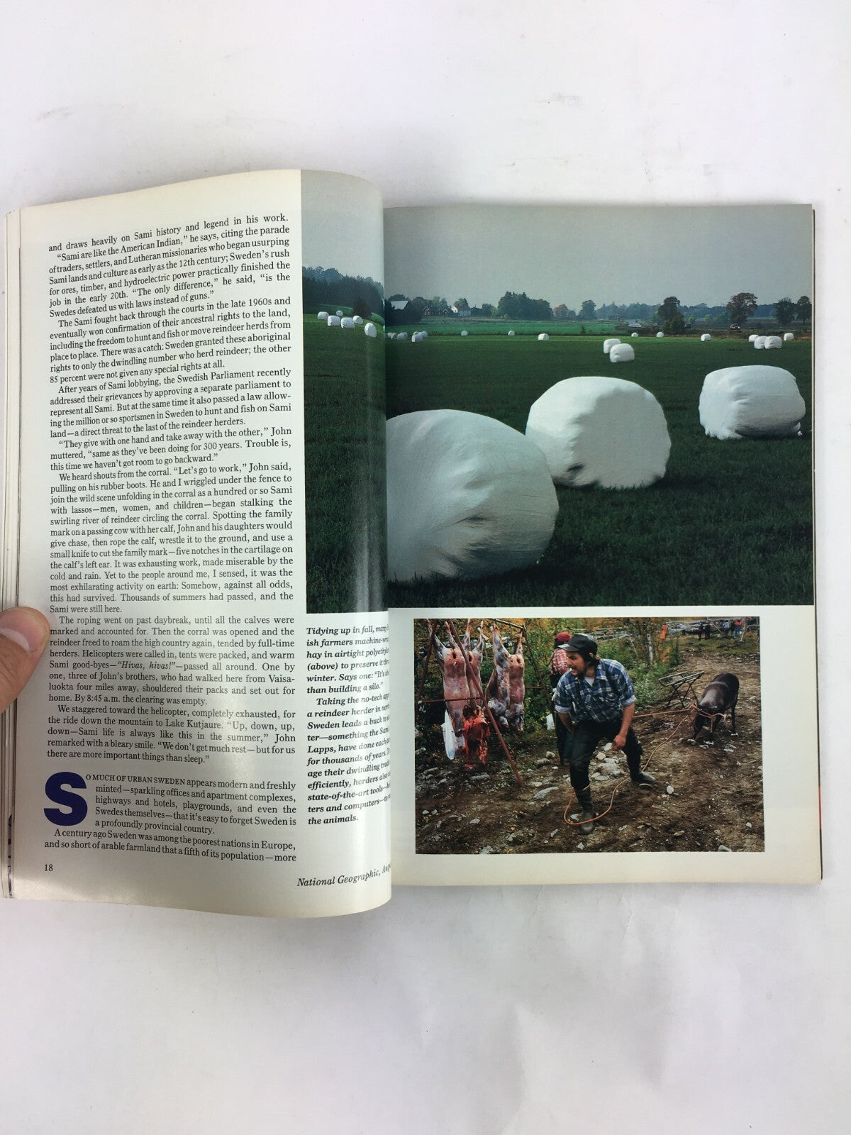August 1993 National Geographic Magazine Tragedy Stalks the Horn of Africa