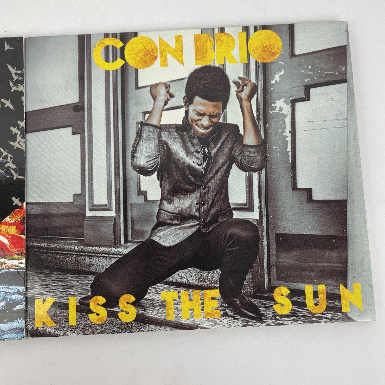 " Con Brio " Kiss The Sun and Paradise Lot of 2 Digital Audio CD Burning House