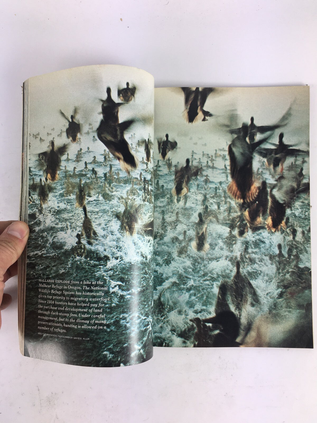 March 1979 National Geographic Magazine National Wildlife Refuges Belgium Denver