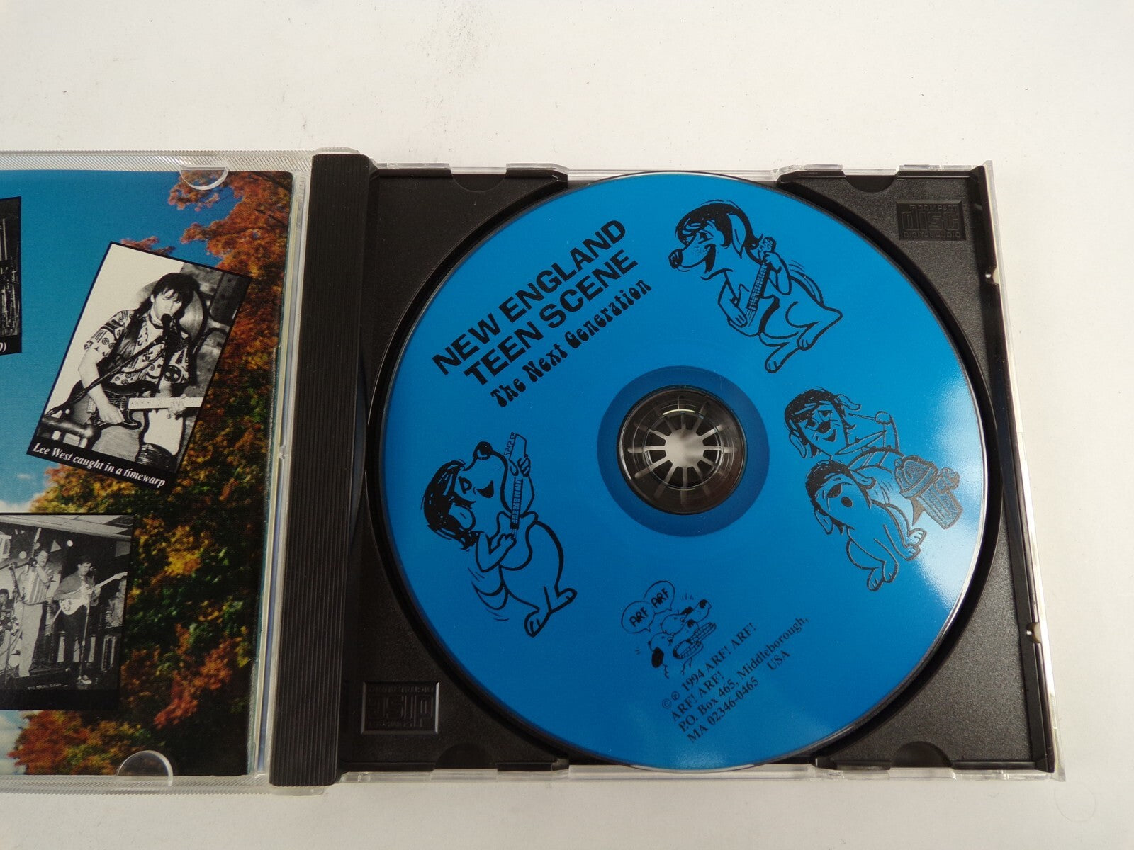 New England Teen Scene The Next Generation The Best Of Arf Arf GarageRock CD#48
