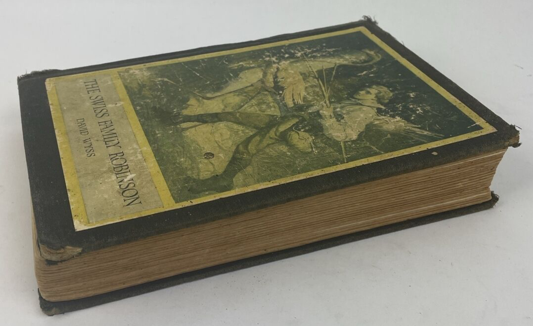 THE SWISS FAMILY ROBINSON BY David Wyss Illustrated by Louis Rhead - 1909 VTG