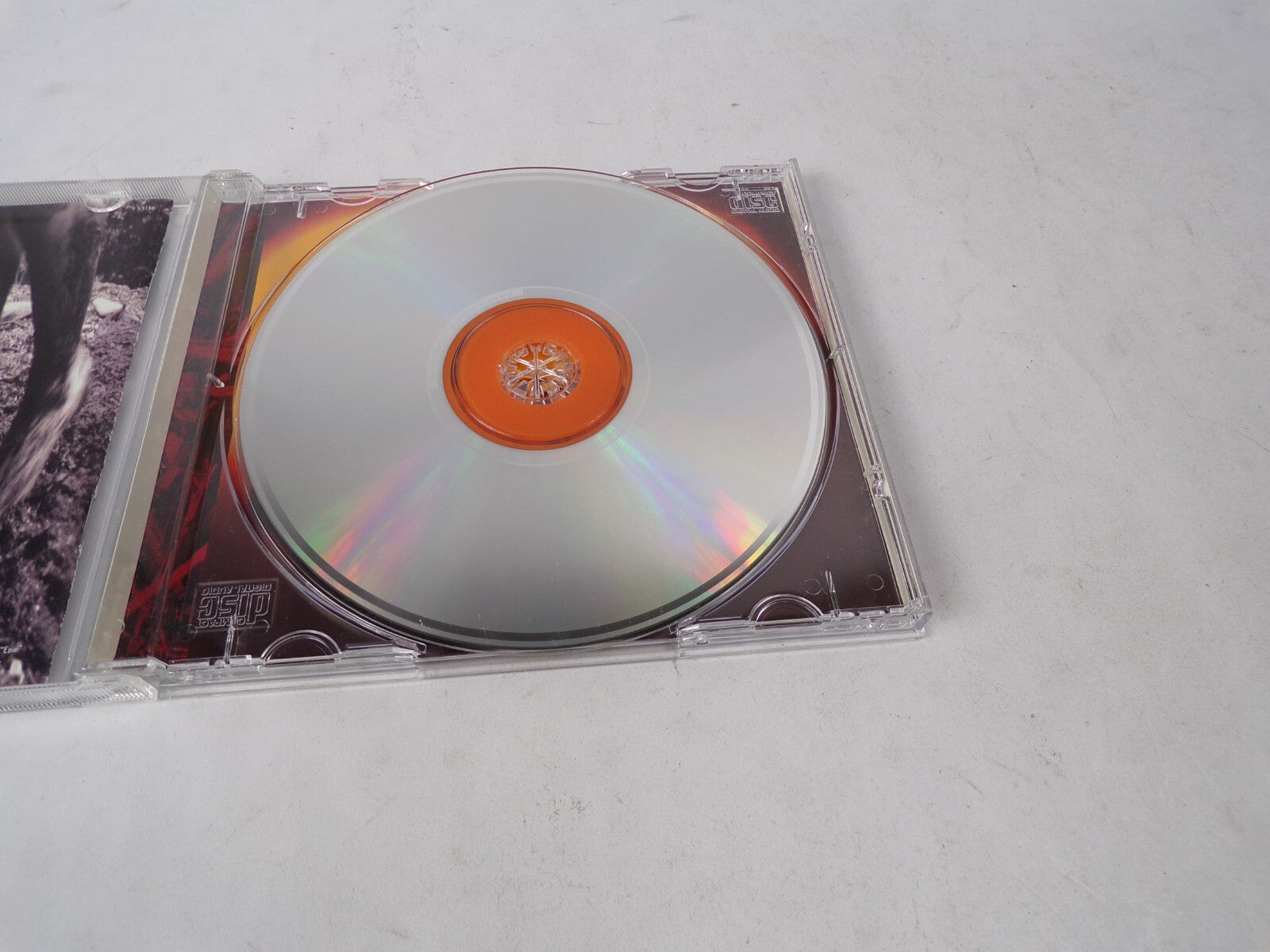 Pearl Jam Animal Daughter Glorified G Dissident W.M.A. Blood RearviewmirrorCD#41