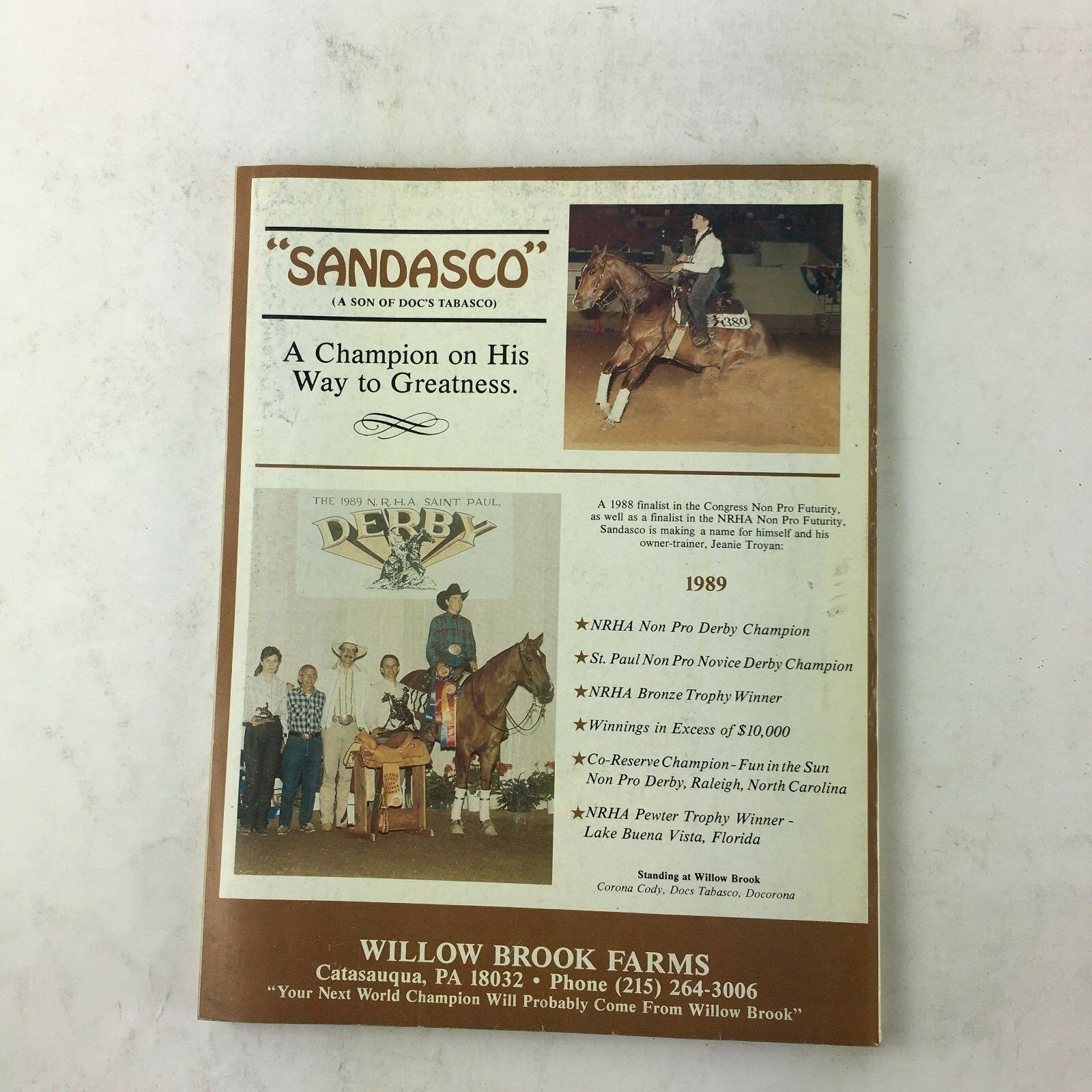 August 1989 The Quarter Horse Journal Magazine International Issue