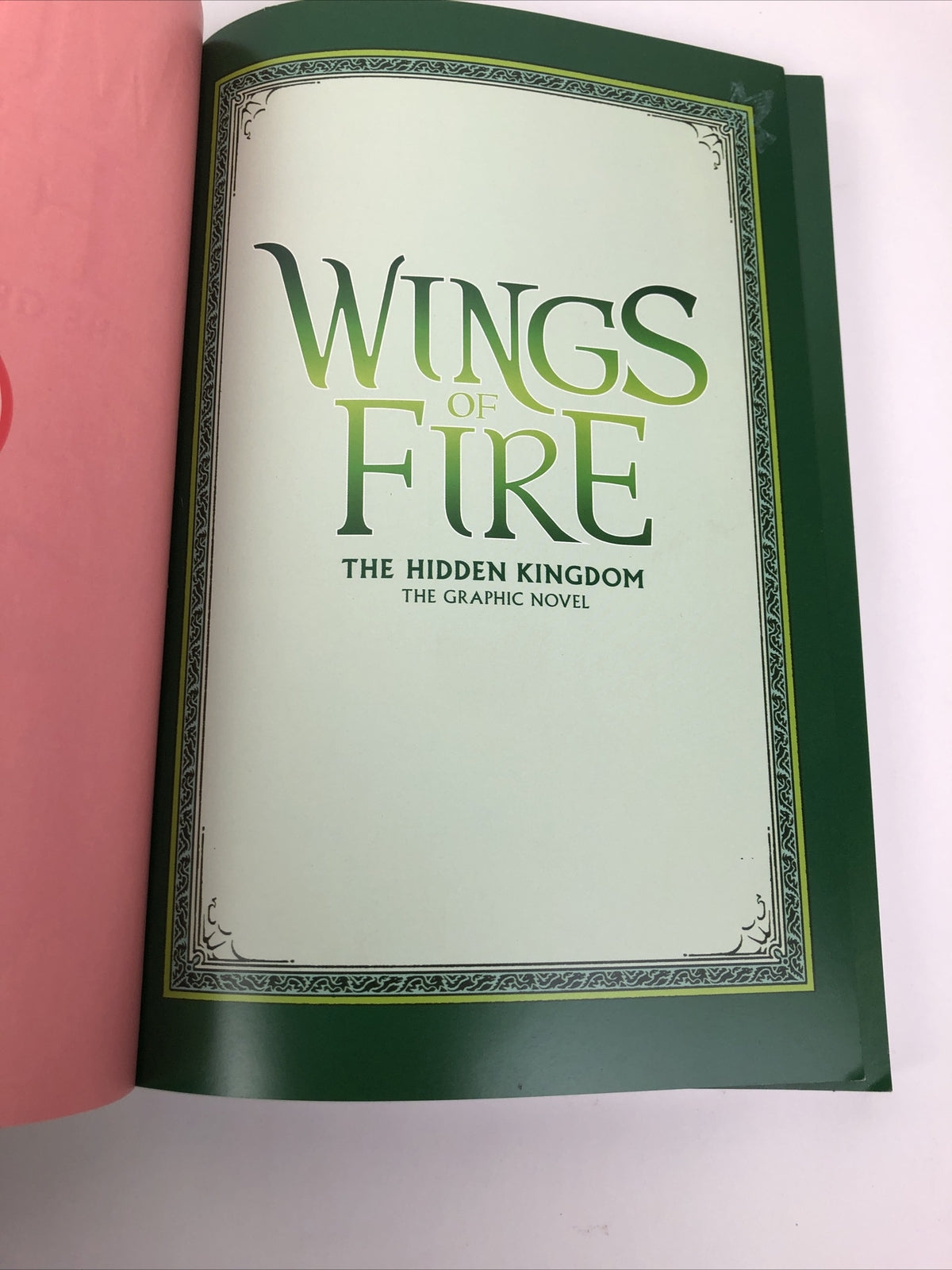 Wings of Fire " The Hidden Kingdom " The Graphic Novel #3 Scholastic Mike Holmes