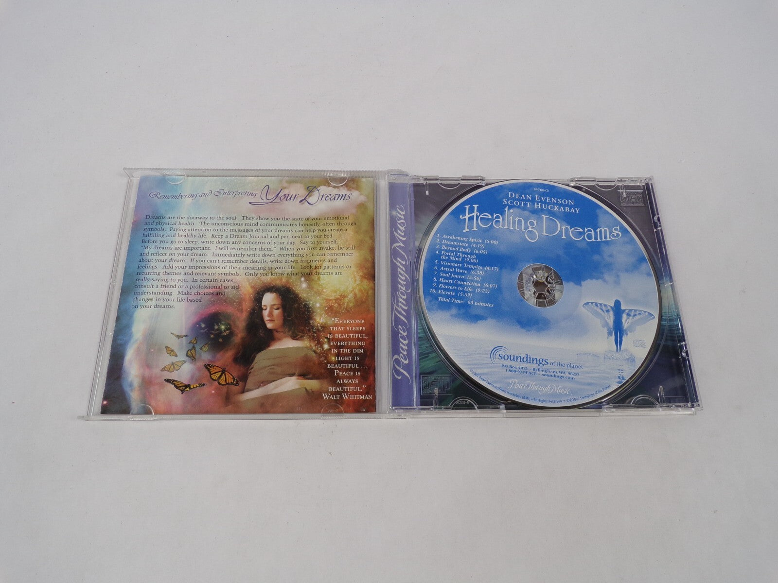 Healing Dreams Awakening Spirit Dreamstate Beyond Body Visionary TemplesCD#63