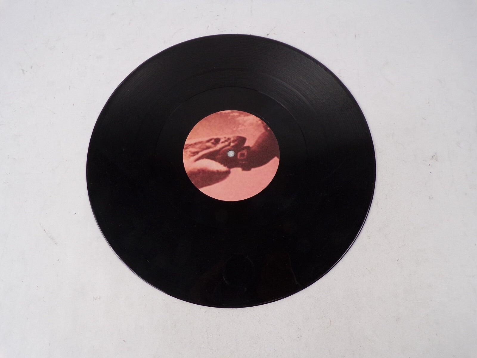 Shark 05 Infested Severed Gangreen Vinyl Record