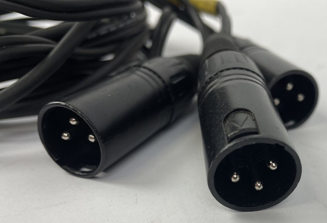 DB25 Male to 3 x 3-Pin XLR Male 3 Channel Analog Audio Snake Cable - 5.5 feet
