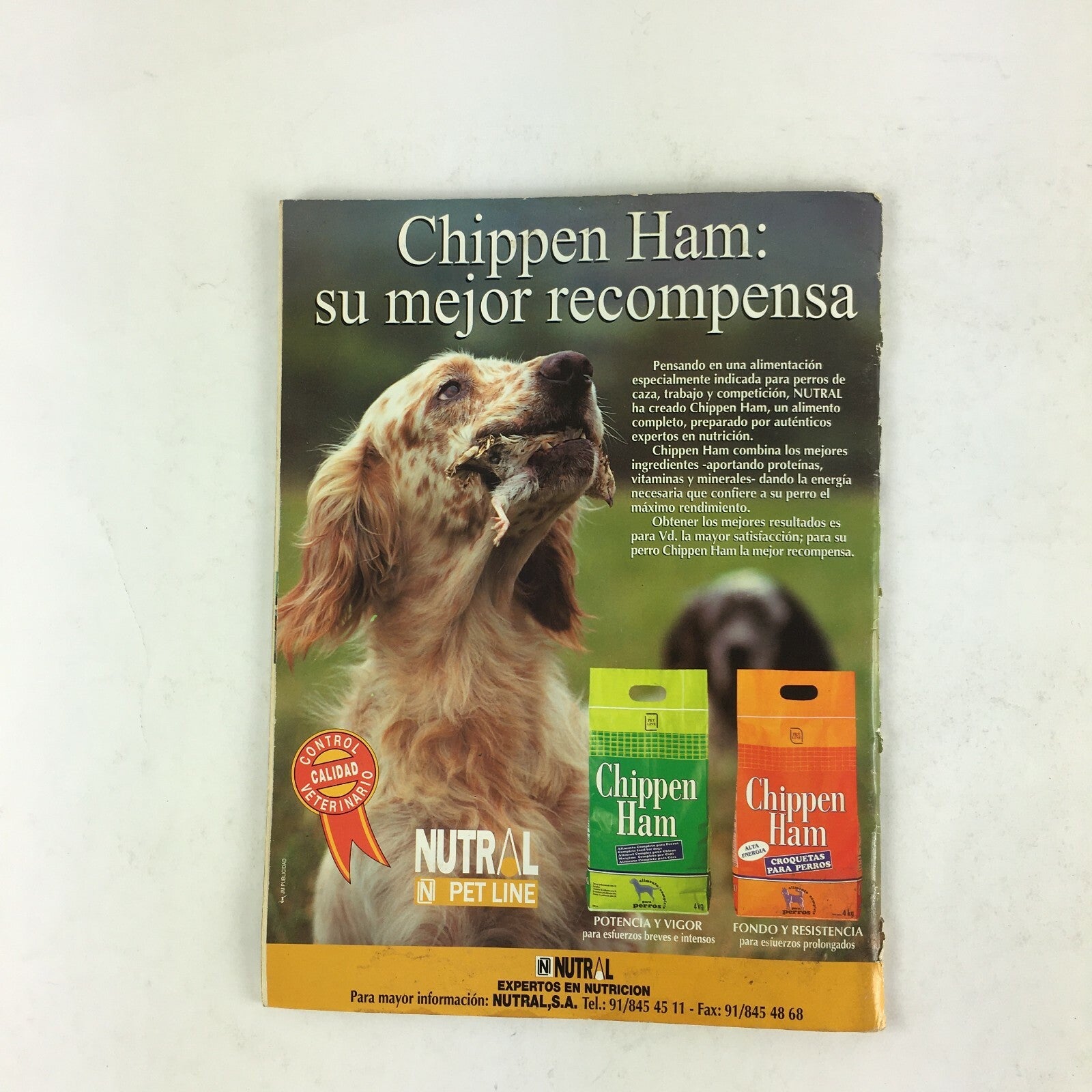 December 1997 Perros Magazine Braco Aleman Jagdterrier Cuestion De Caracter