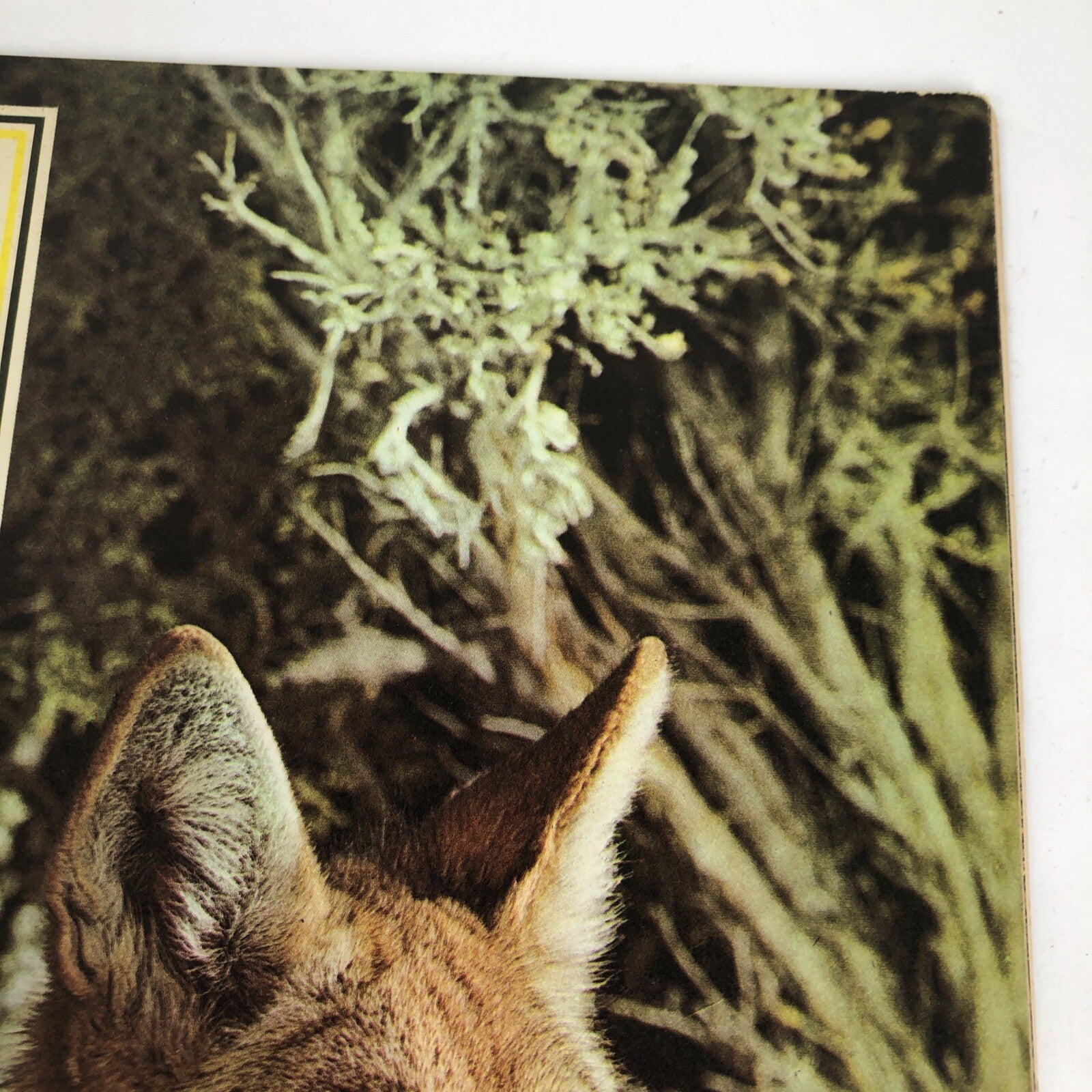 May 1965 Highways Magazine The Woolery Mineral Collection Vol. 41 No. 5 VGC
